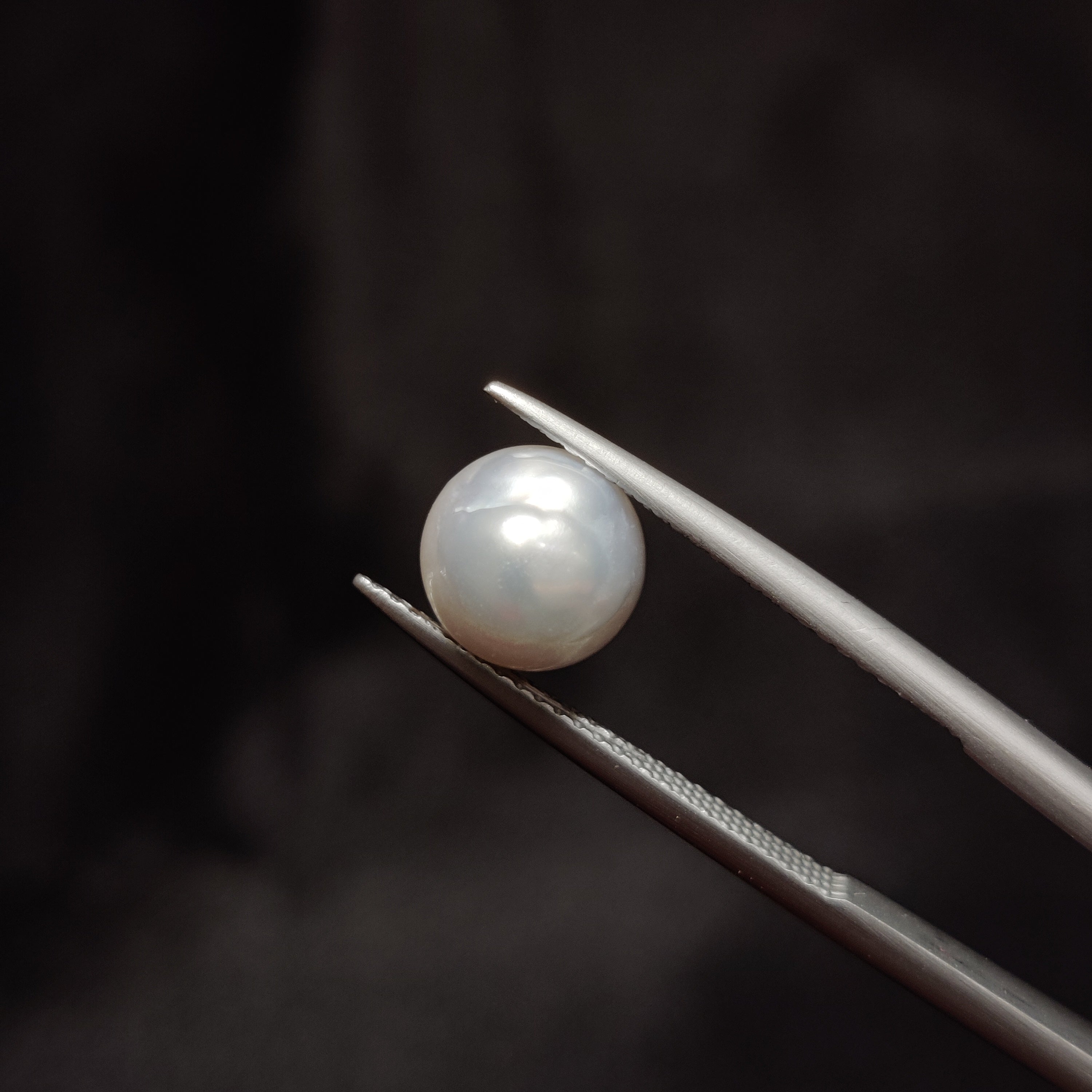 Pearl | Pearl 287 | 4.3 Carat