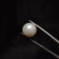 Pearl | Pearl 326 | 12.12 Carat