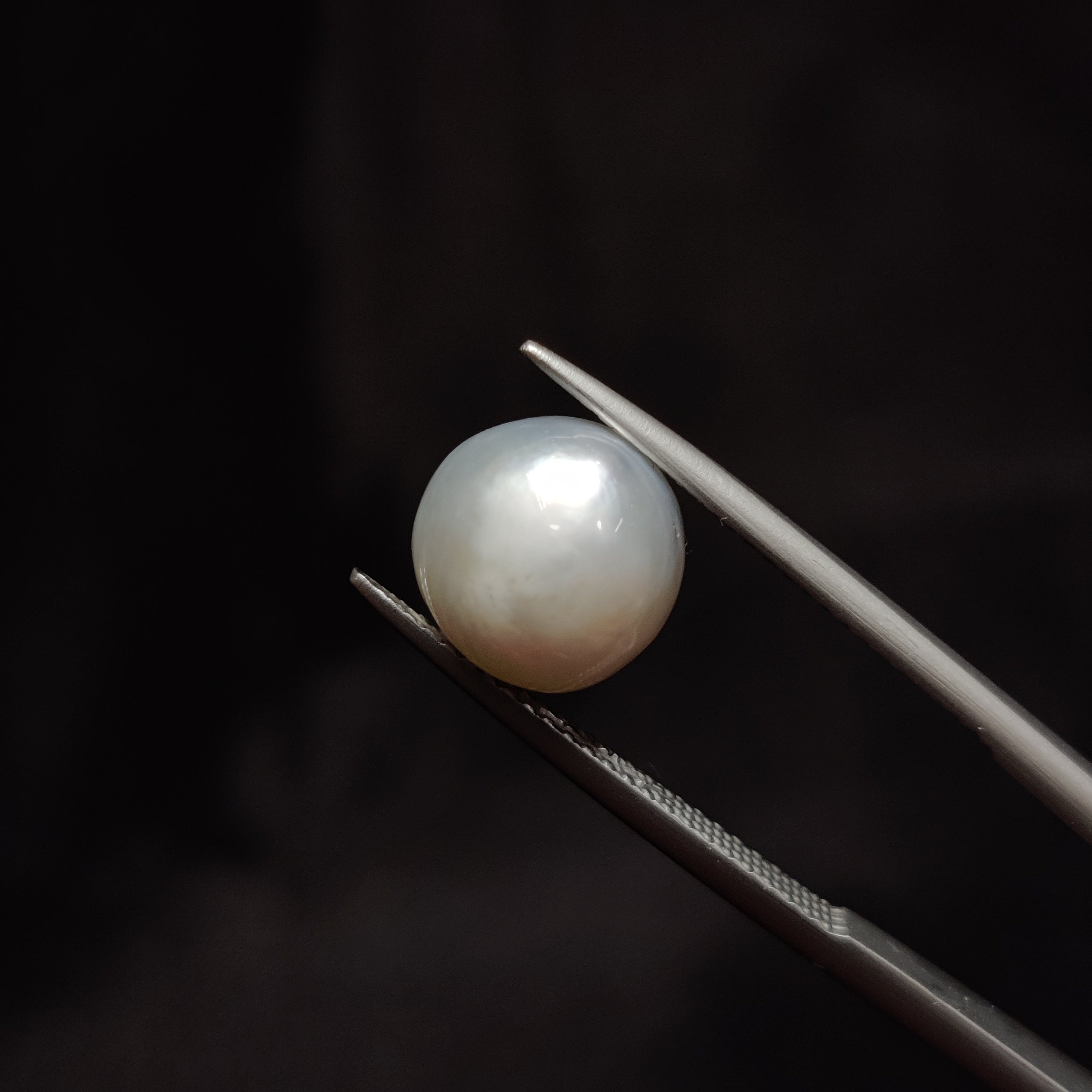 Pearl | Pearl 312 | 5.9 Carat