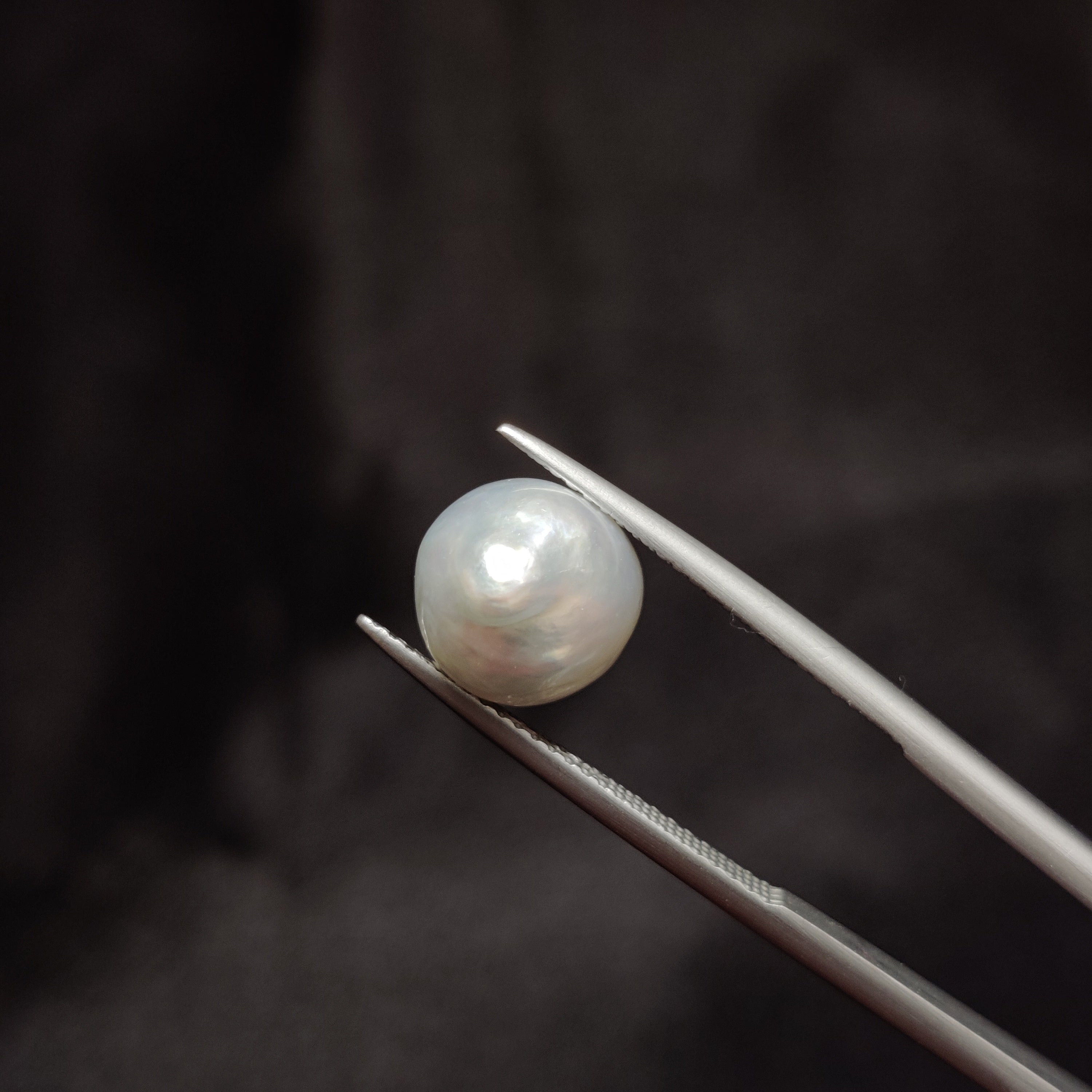 Pearl | Pearl 312 | 5.9 Carat