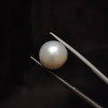 Pearl | Pearl 298 | 10.46 Carat