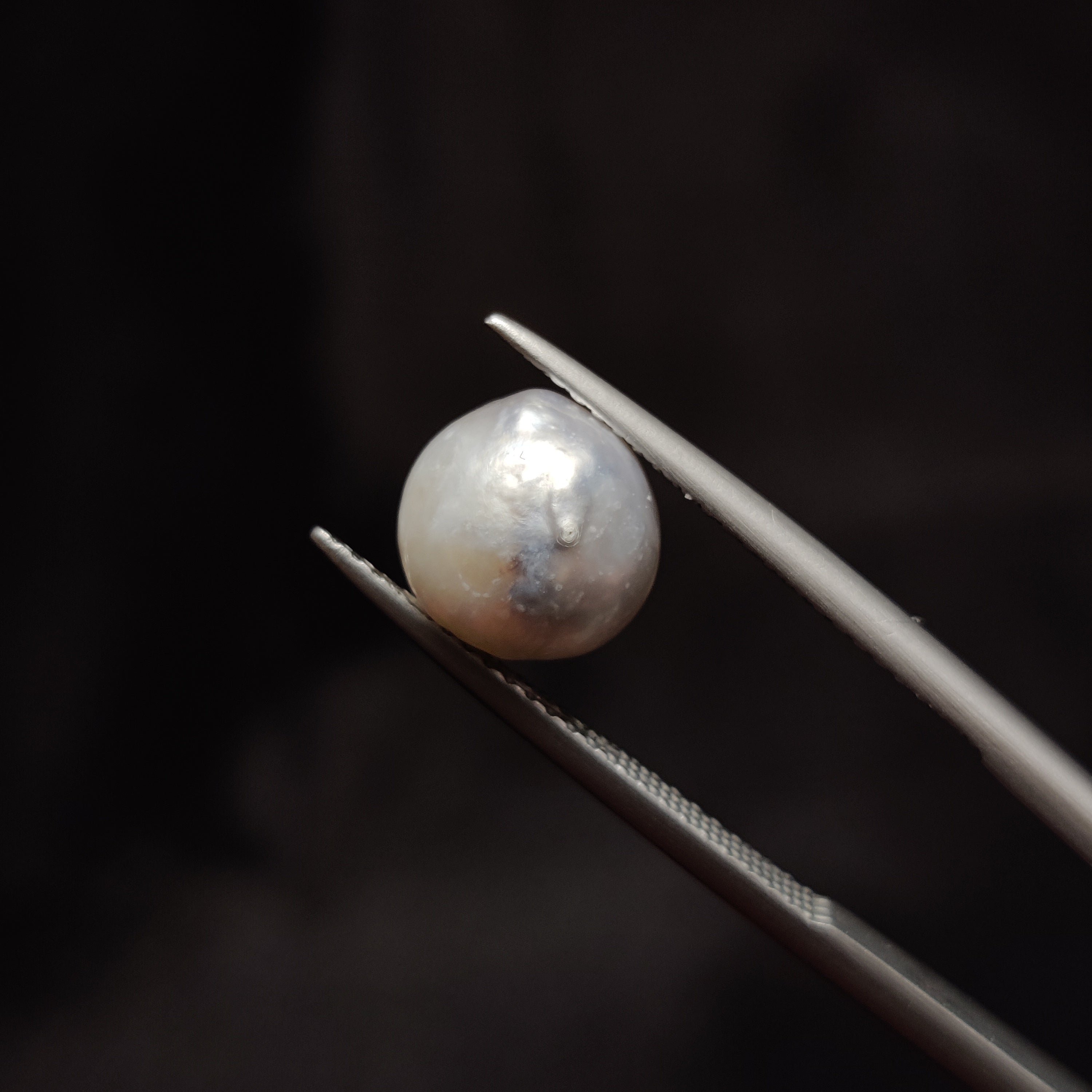 Pearl | Pearl 290 | 5.23 Carat