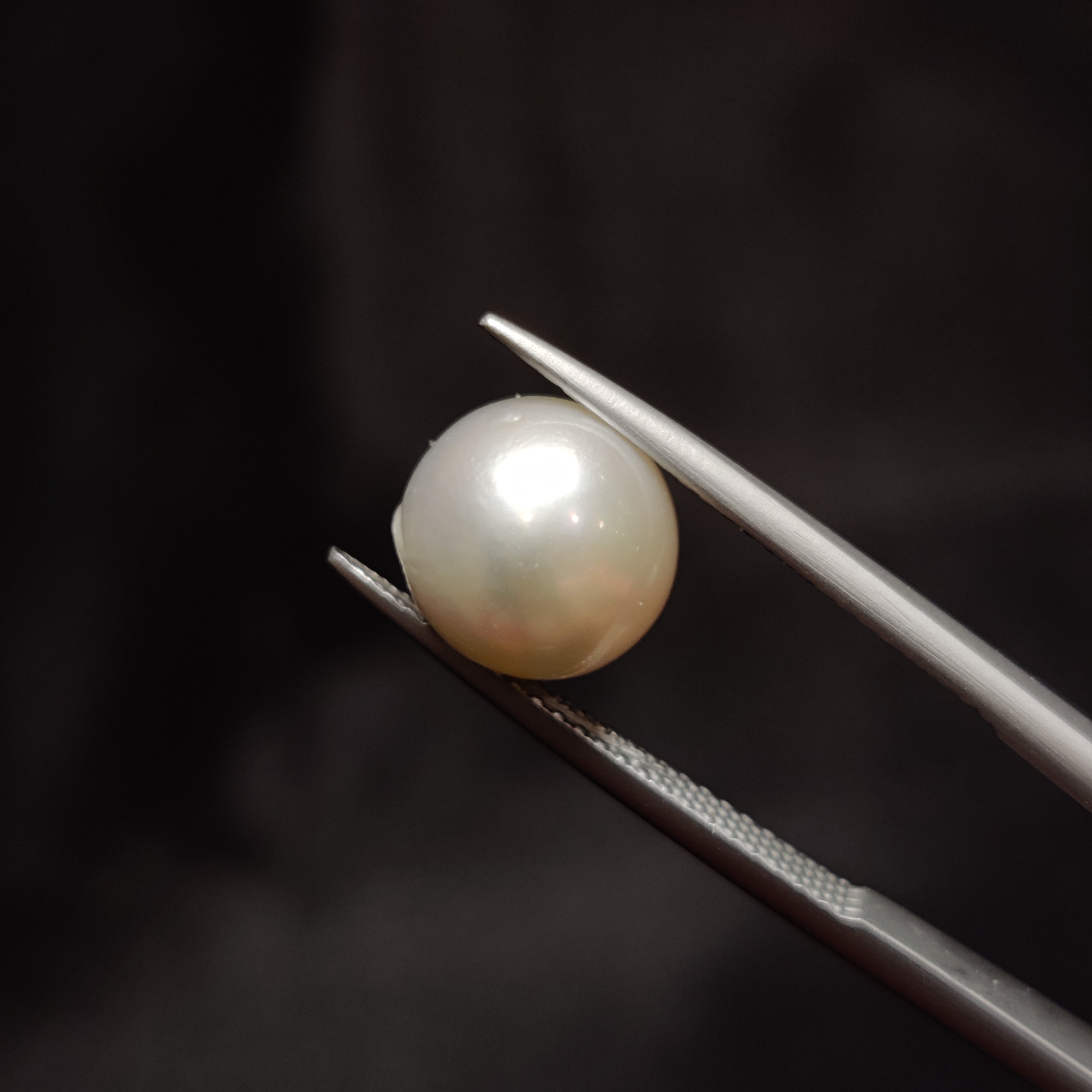 Pearl | Pearl 300 | 6.28 Carat