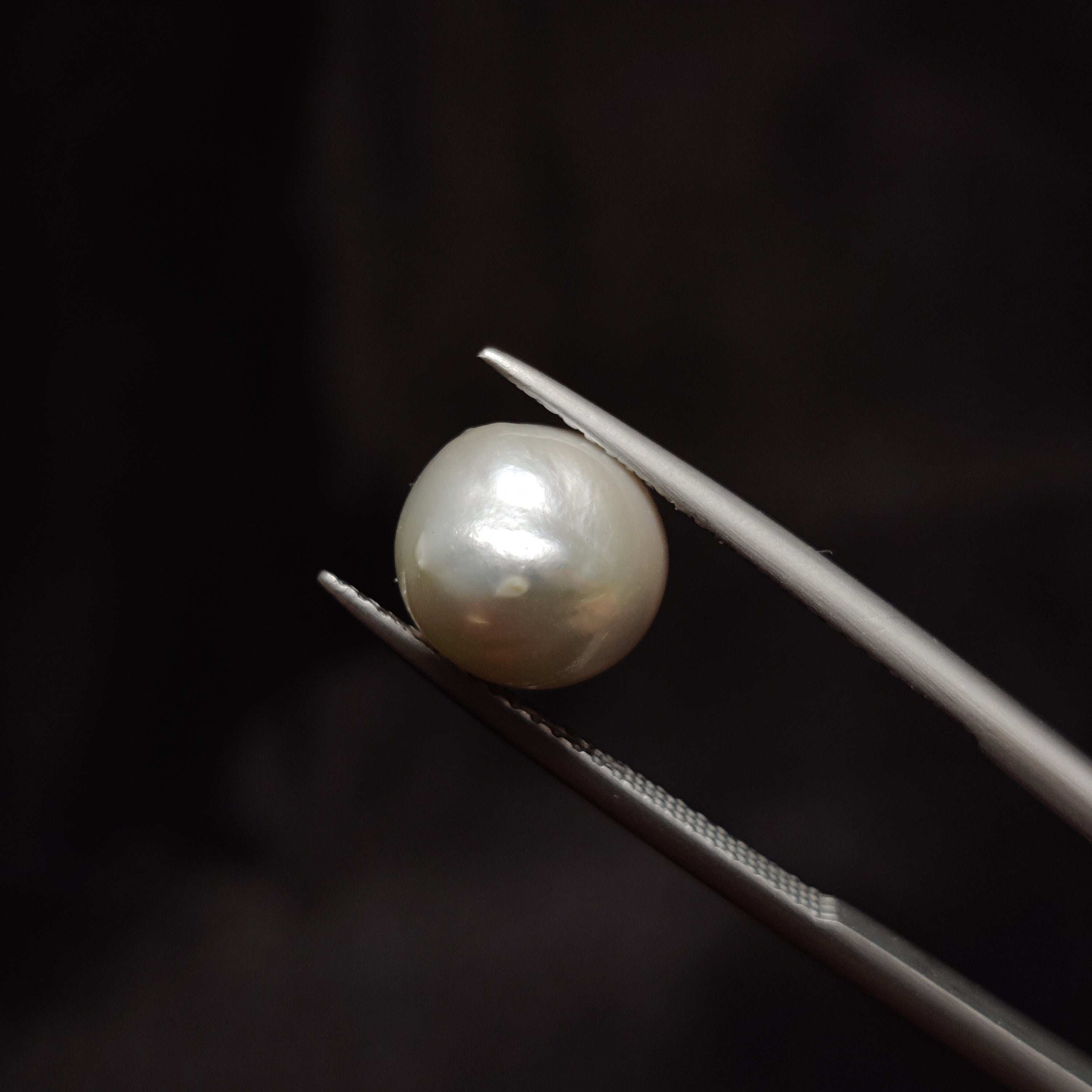 Pearl | Pearl 300 | 6.28 Carat