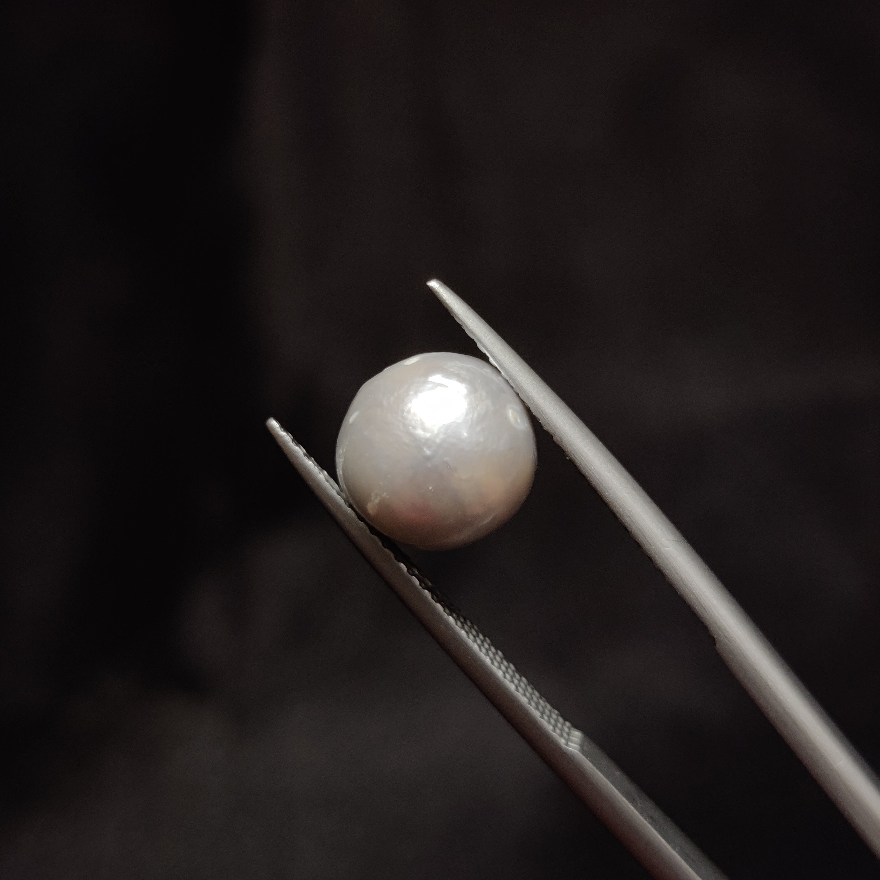 Pearl | Pearl 299 | 5.57 Carat