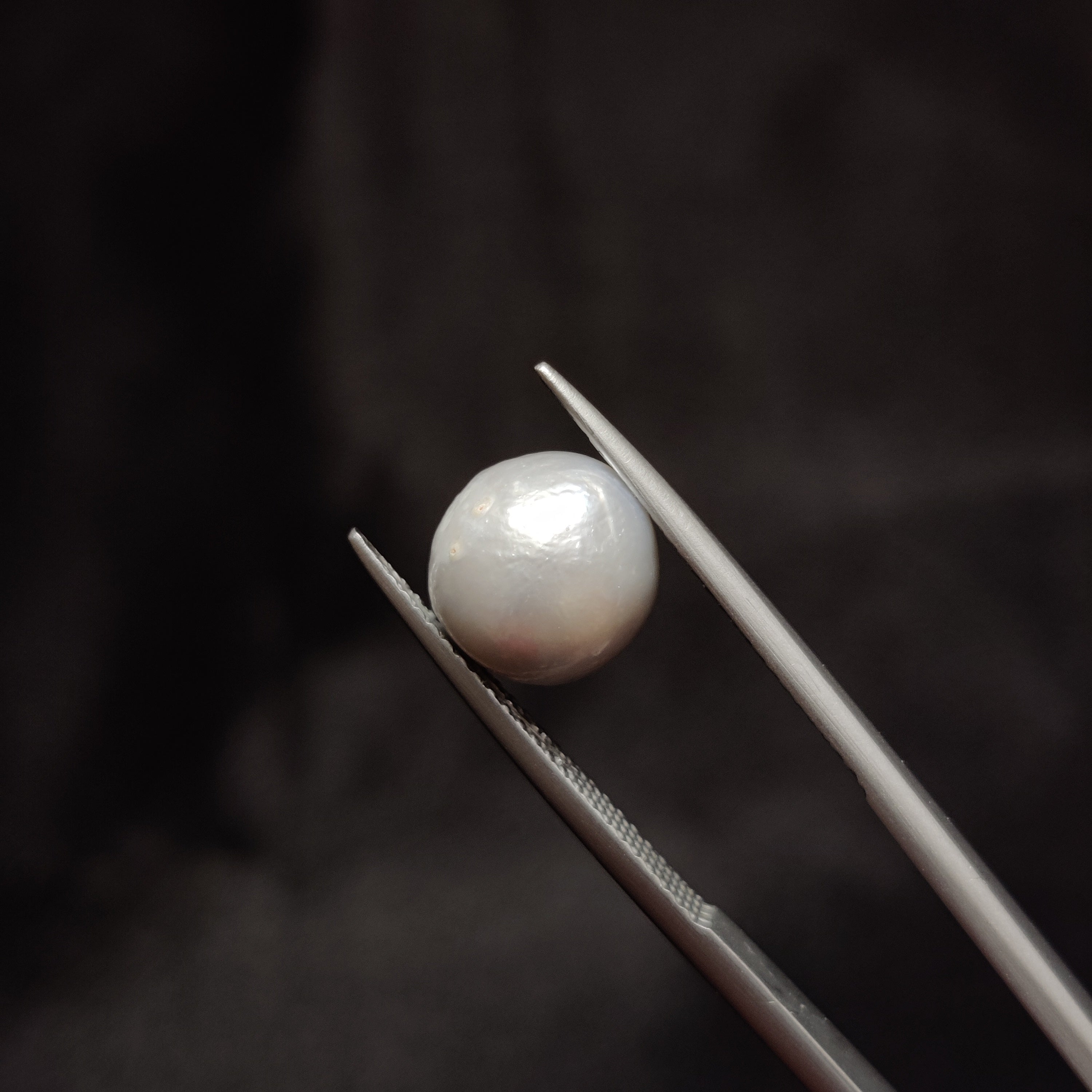 Pearl | Pearl 299 | 5.57 Carat