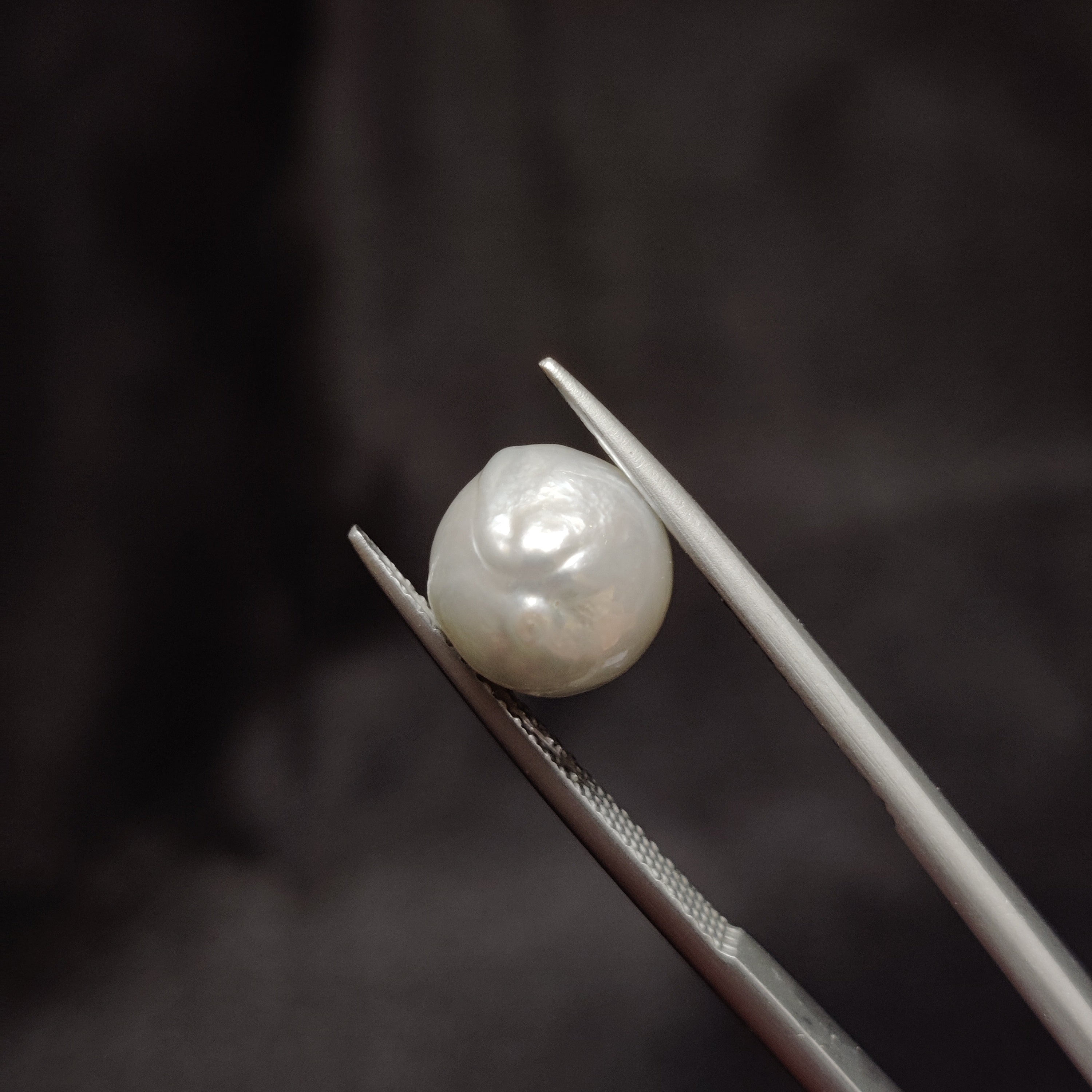 Pearl | Pearl 288 | 5.39 Carat