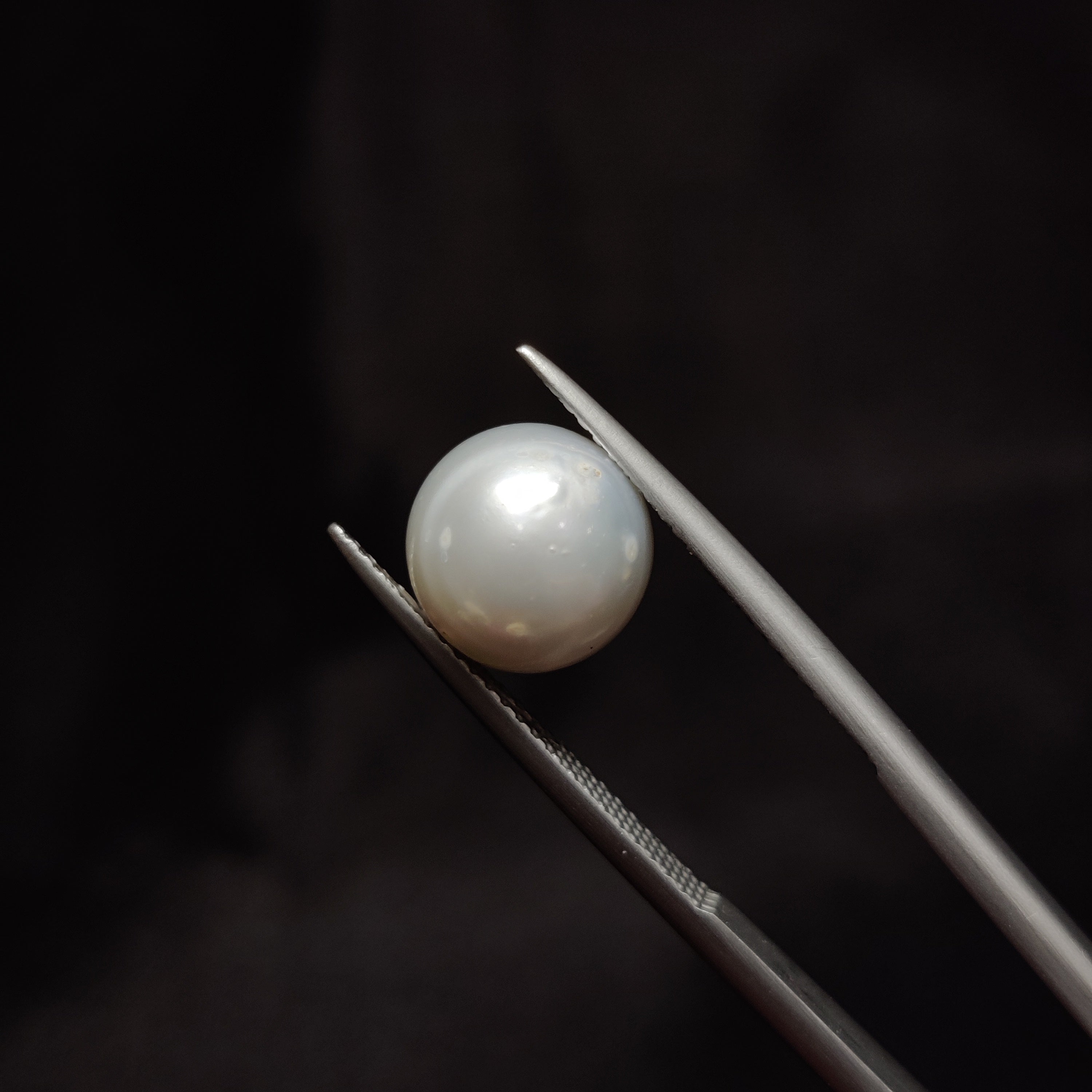 Pearl | Pearl 318 | 6.74 Carat