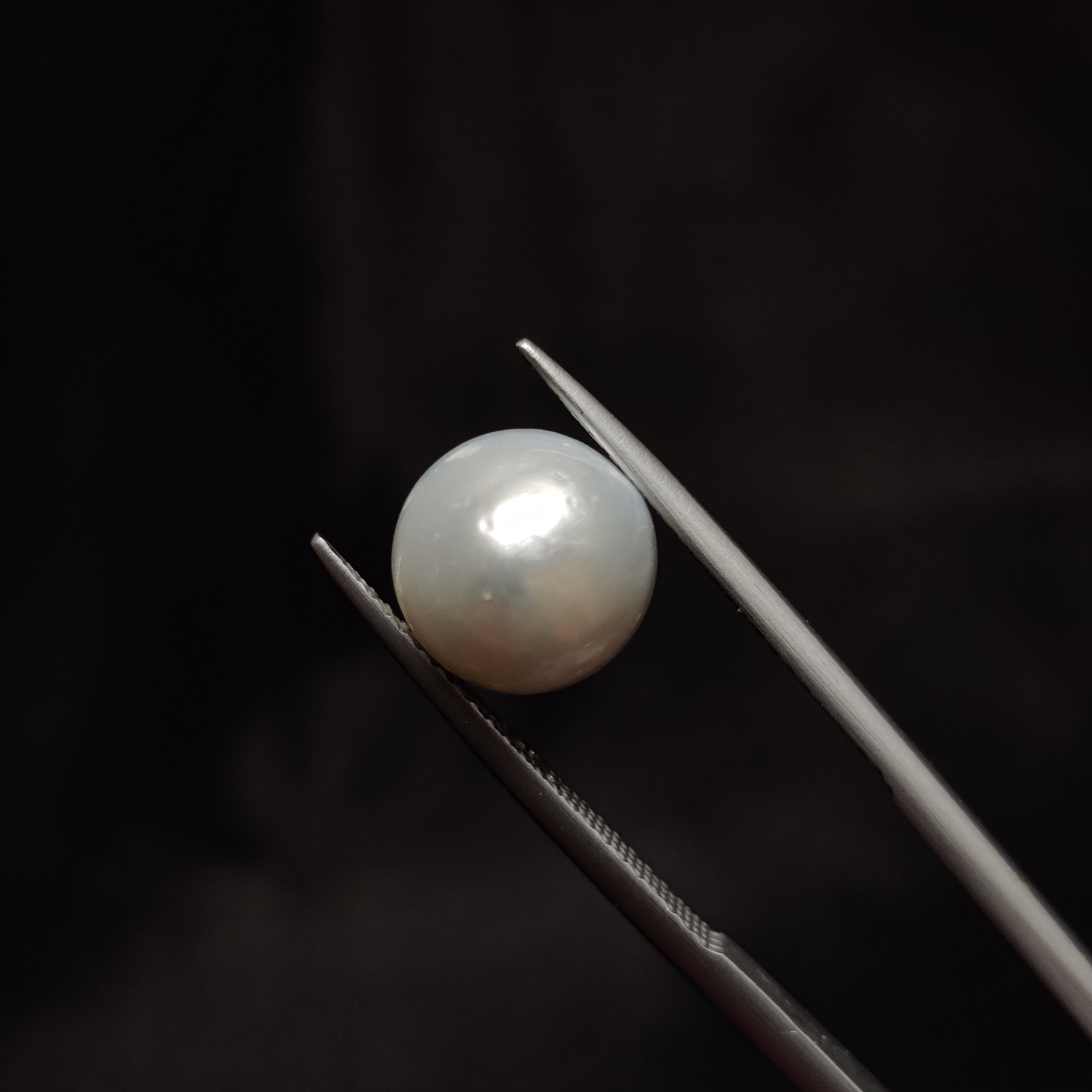 Pearl | Pearl 318 | 6.74 Carat
