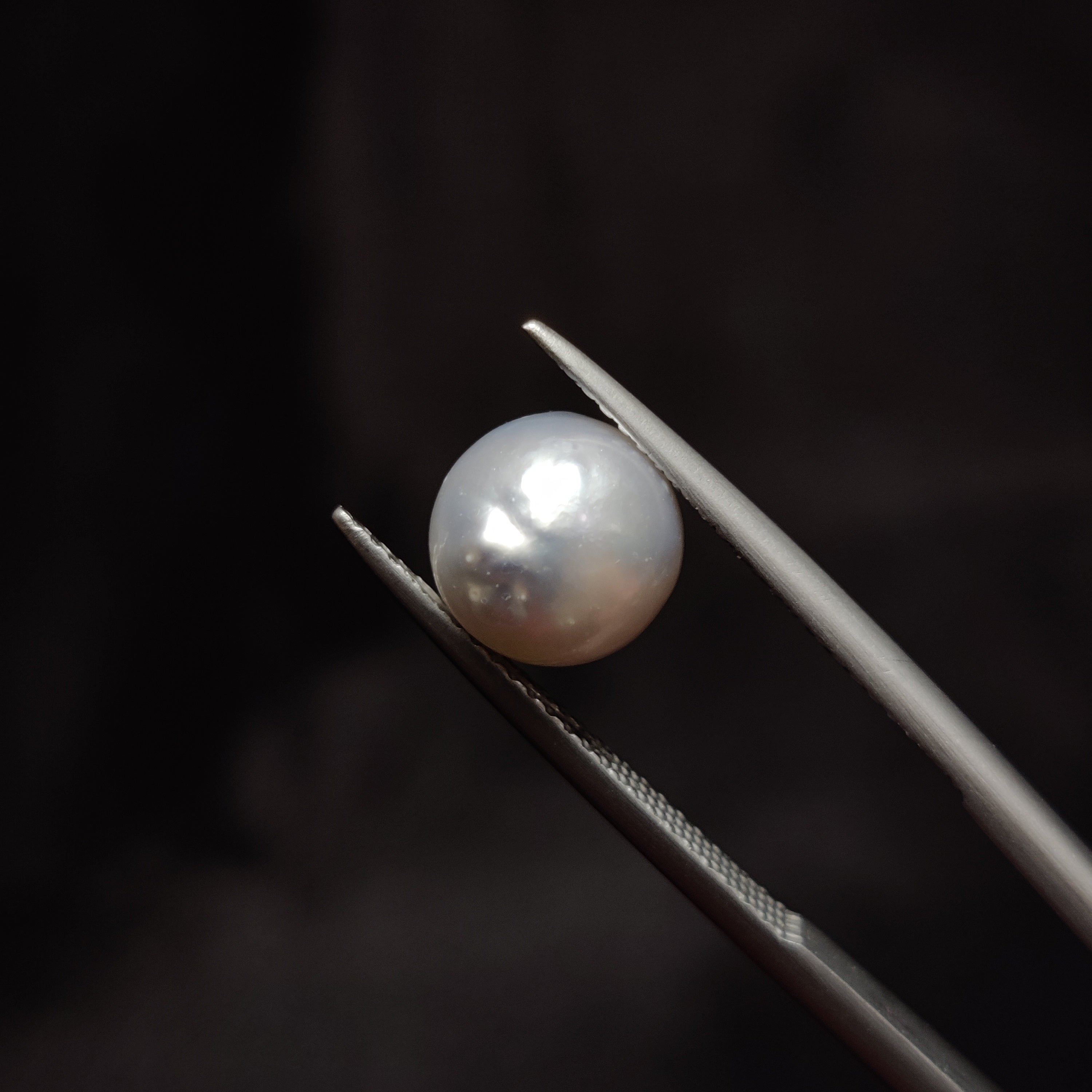 Pearl | Pearl 306 | 4.4 Carat