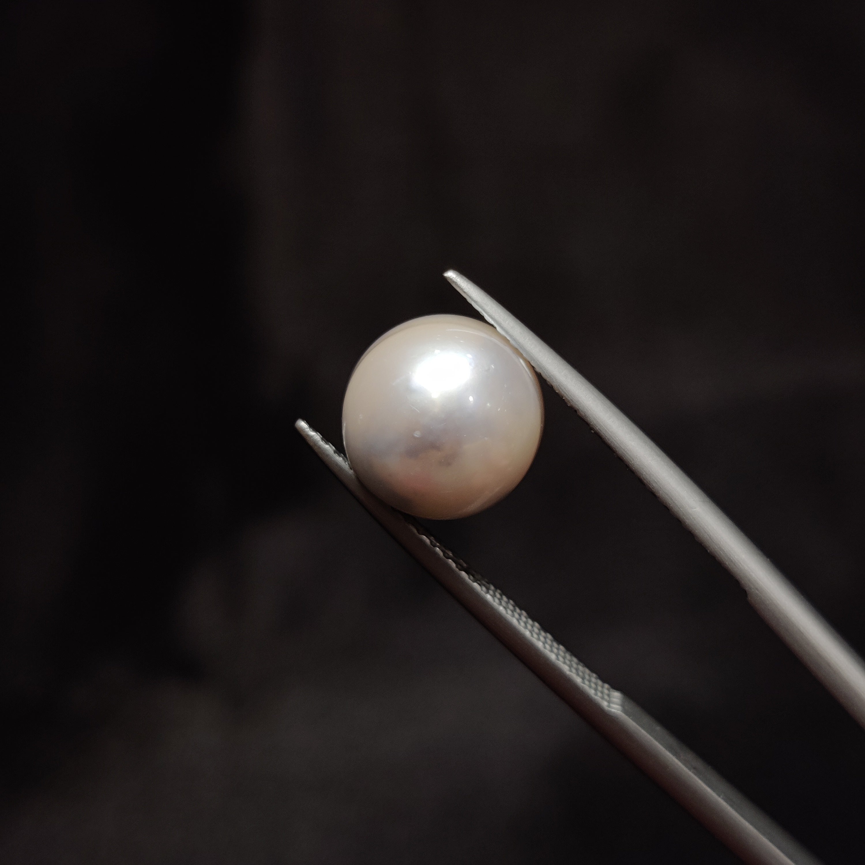 Pearl | Pearl 283 | 7.38 Carat