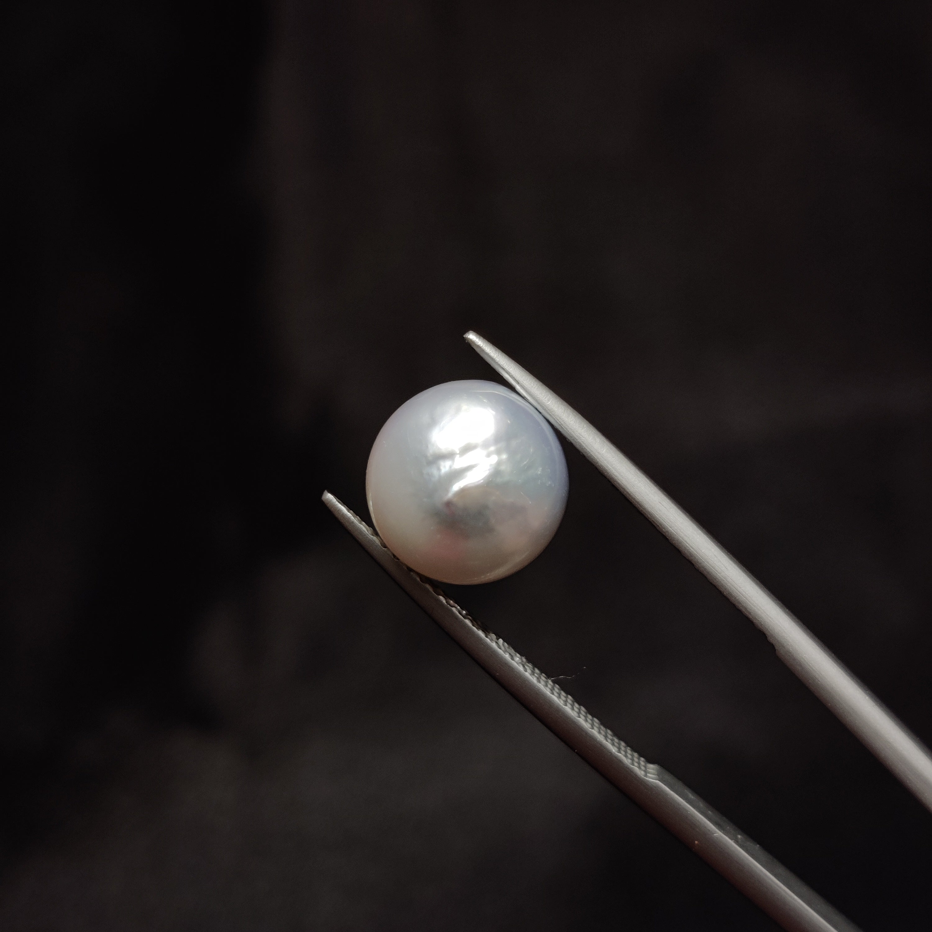 Pearl | Pearl 283 | 7.38 Carat