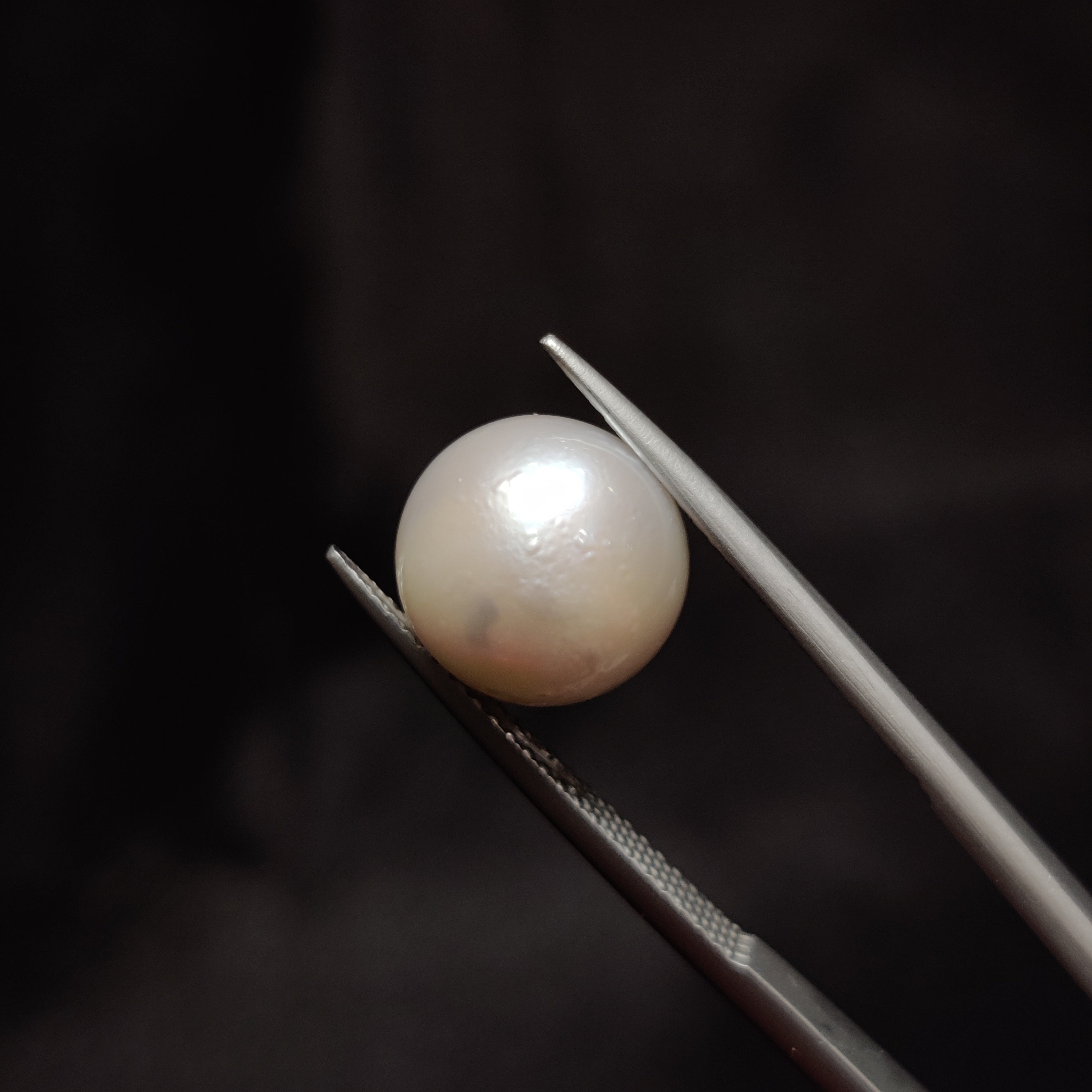 Pearl | Pearl 302 | 8.26 Carat