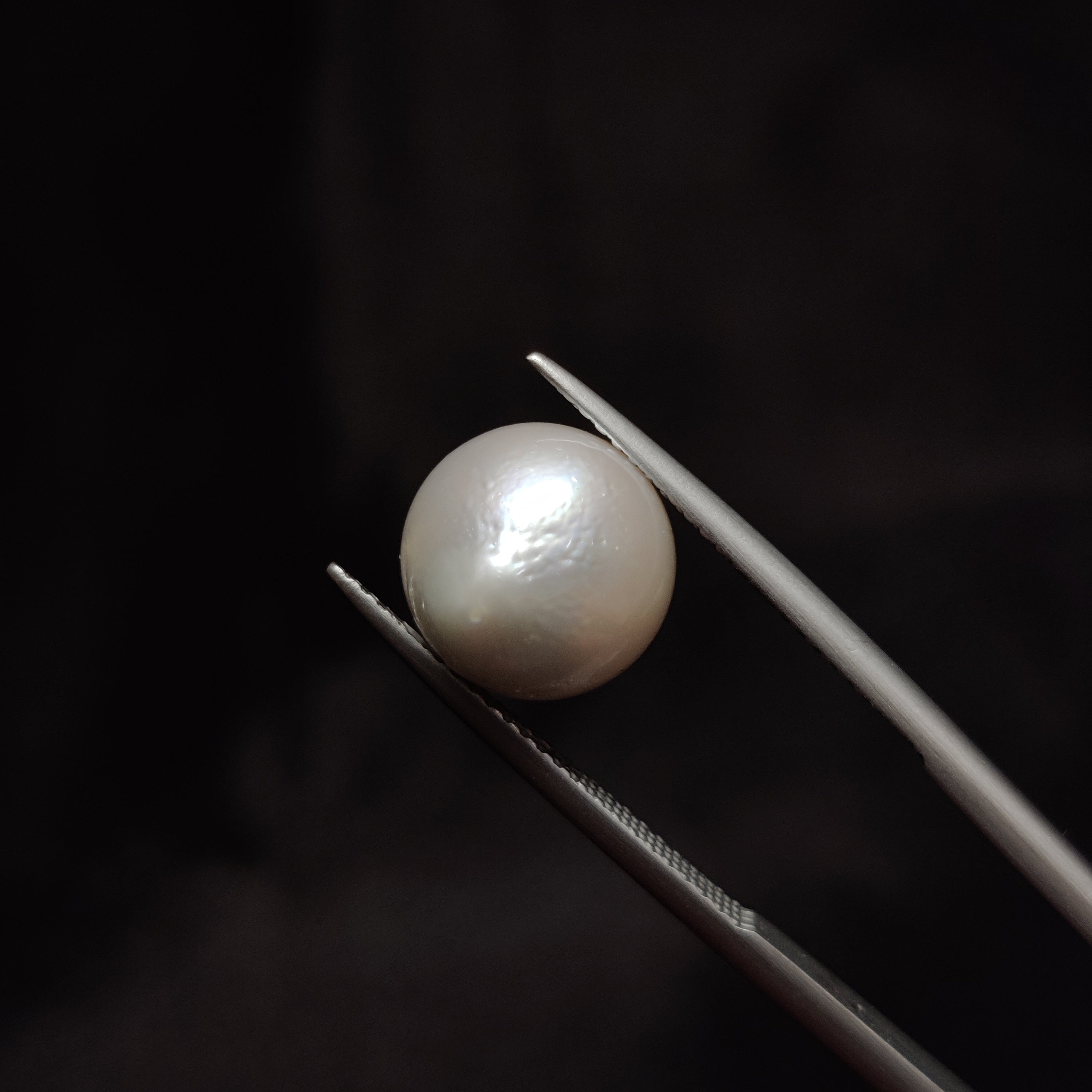 Pearl | Pearl 302 | 8.26 Carat
