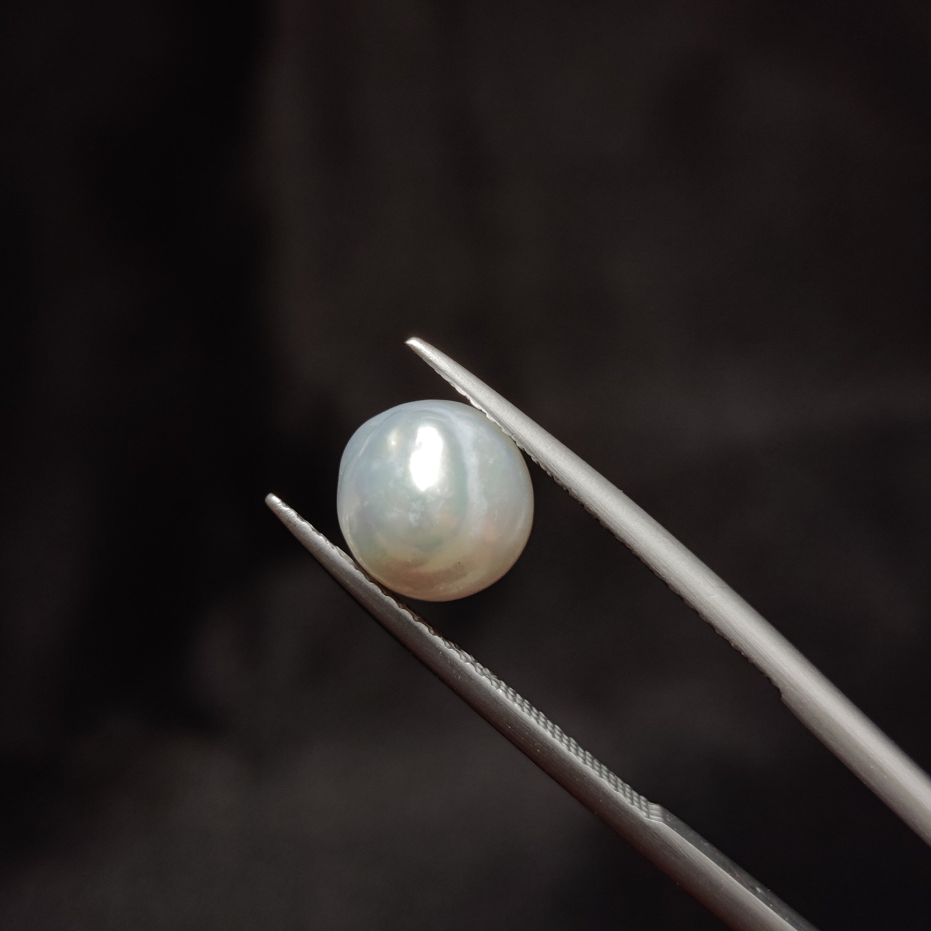 Pearl | Pearl 293 | 4.51 Carat