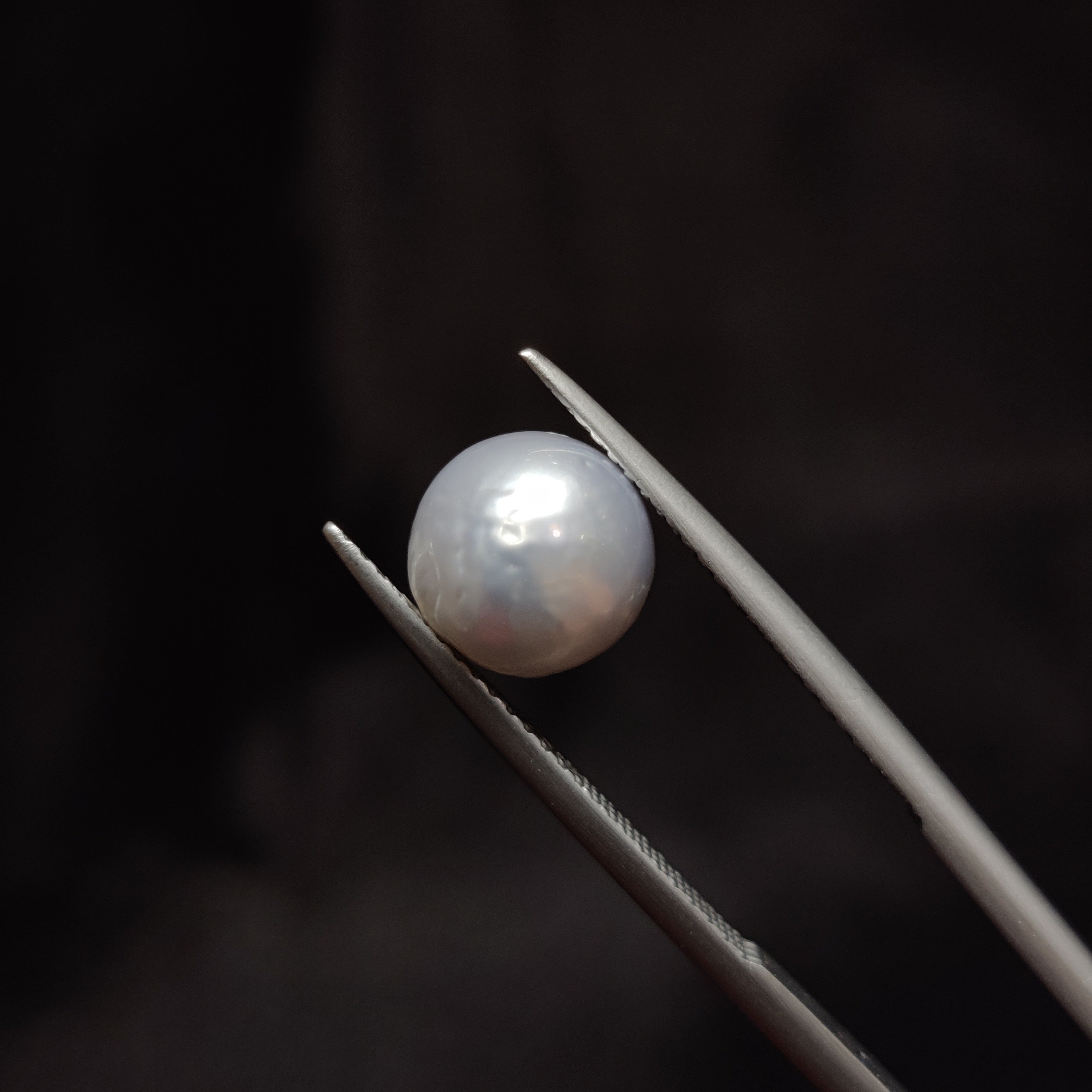 Pearl | Pearl 281 | 4.33 Carat