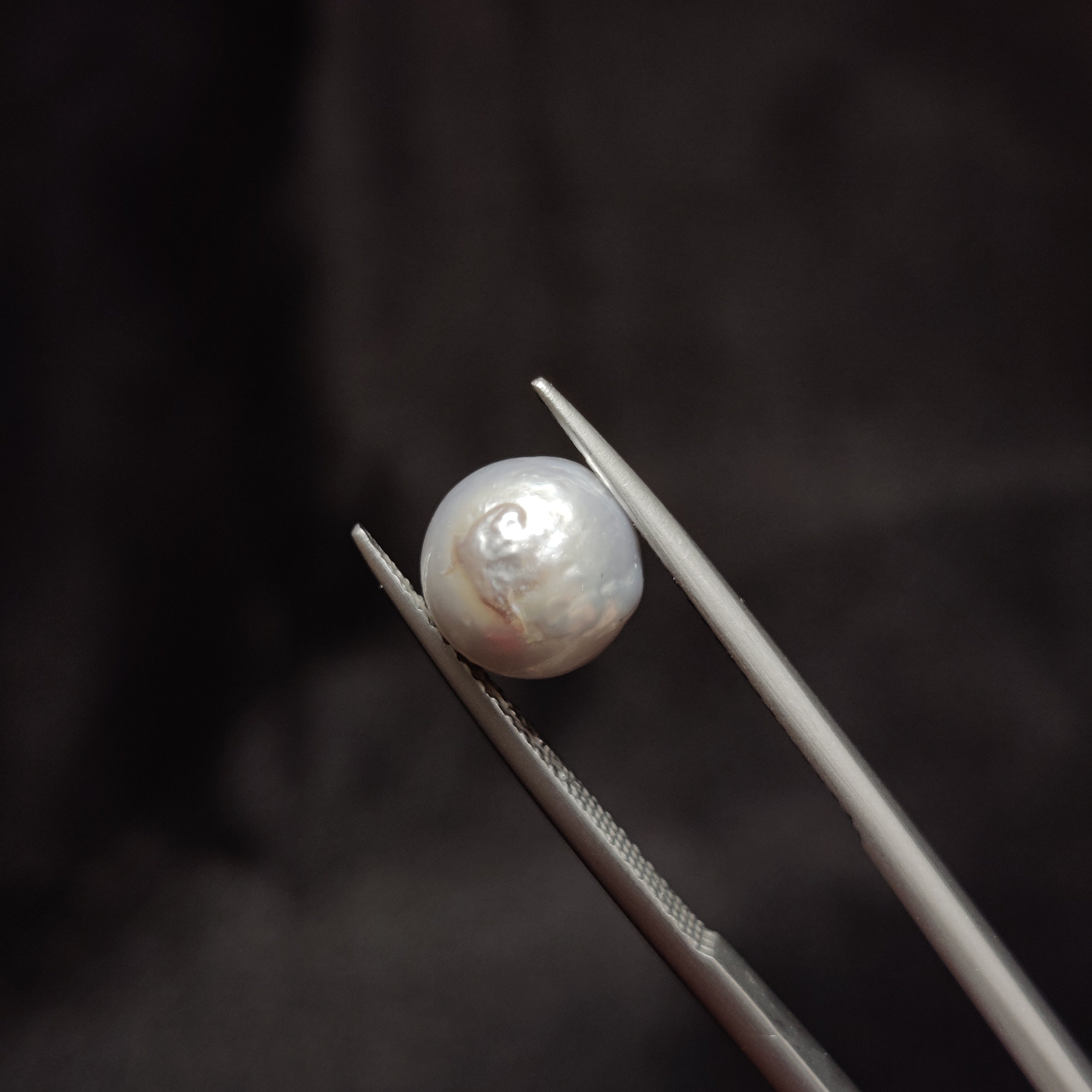 Pearl | Pearl 281 | 4.33 Carat