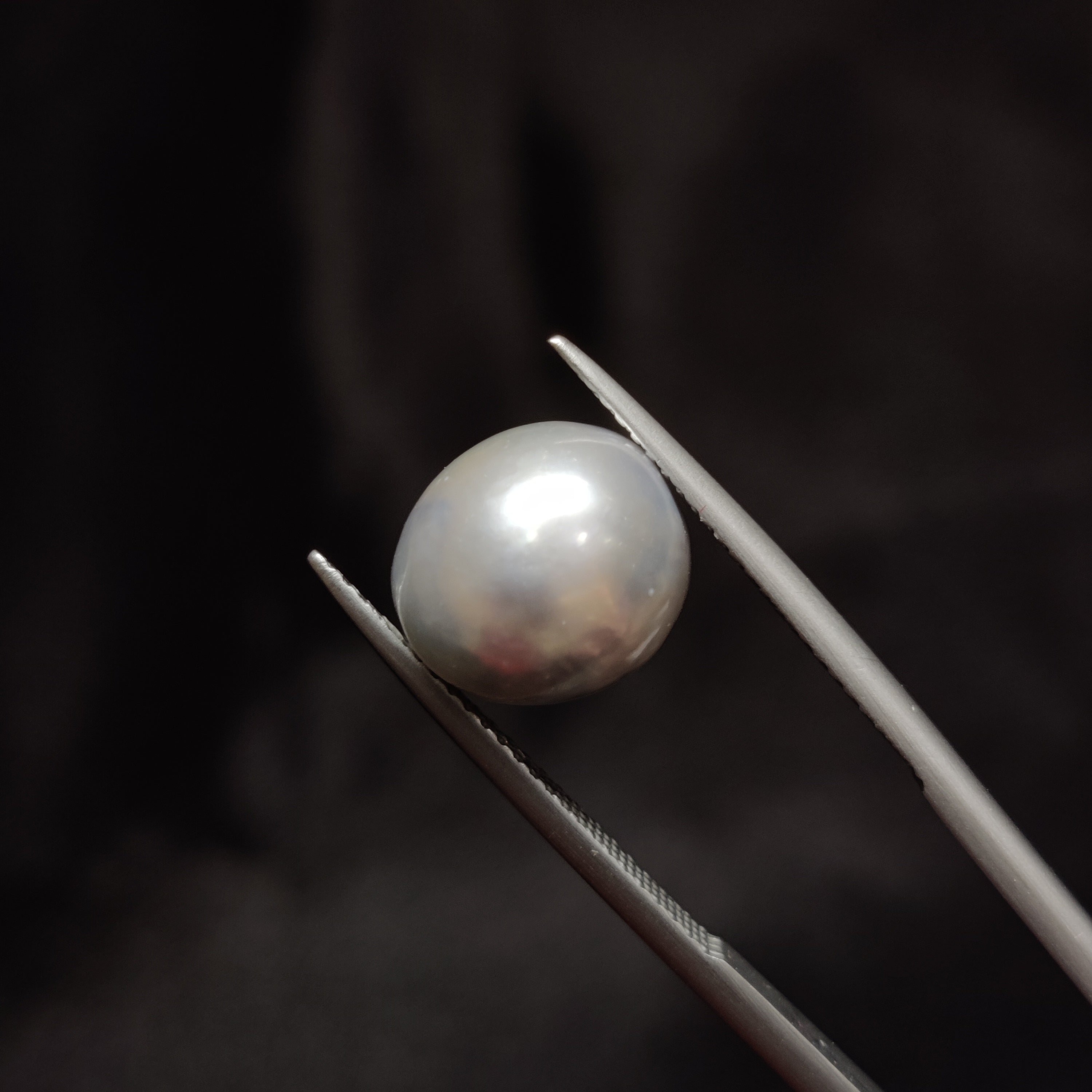 Pearl | Pearl 329 | 8.92 Carat