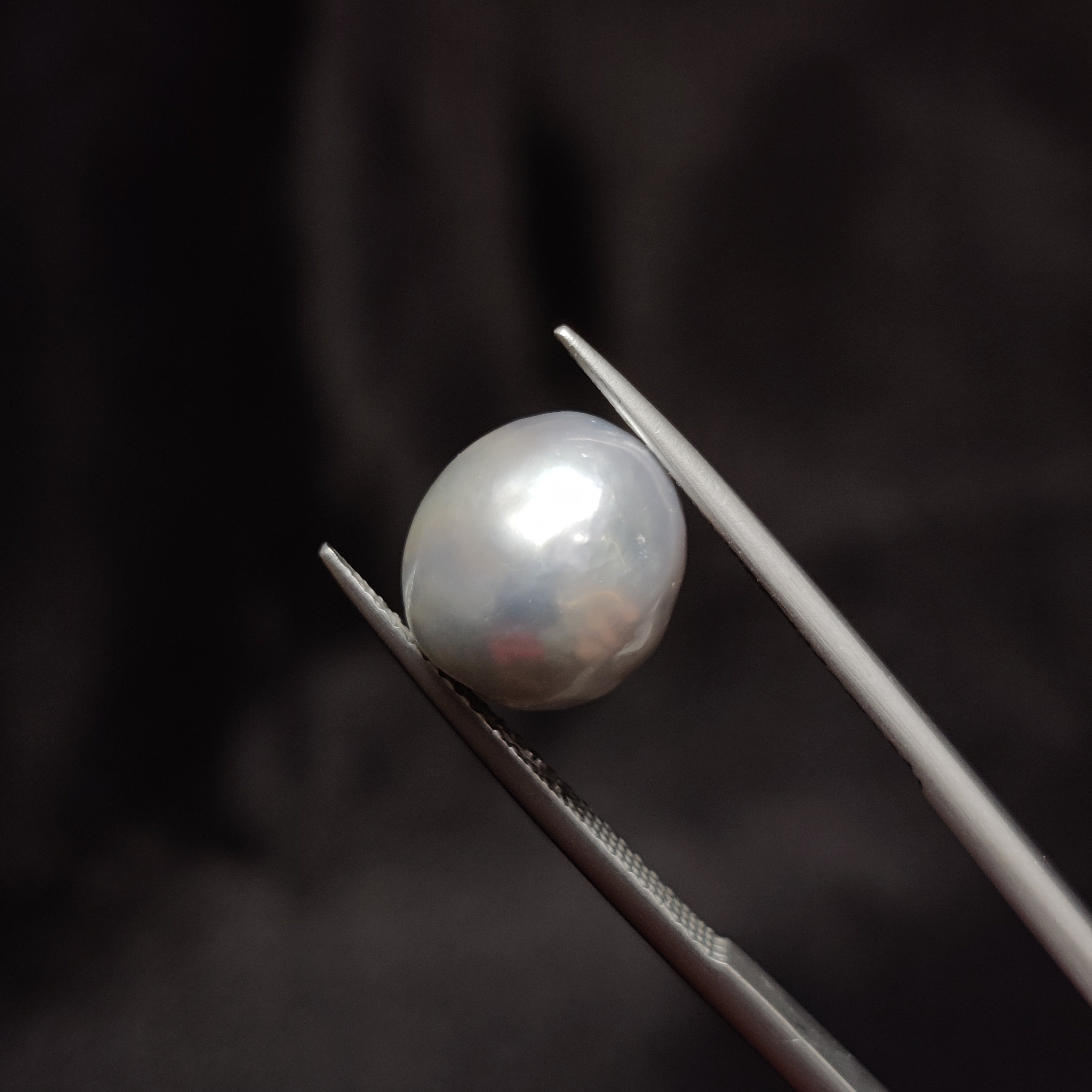 Pearl | Pearl 329 | 8.92 Carat