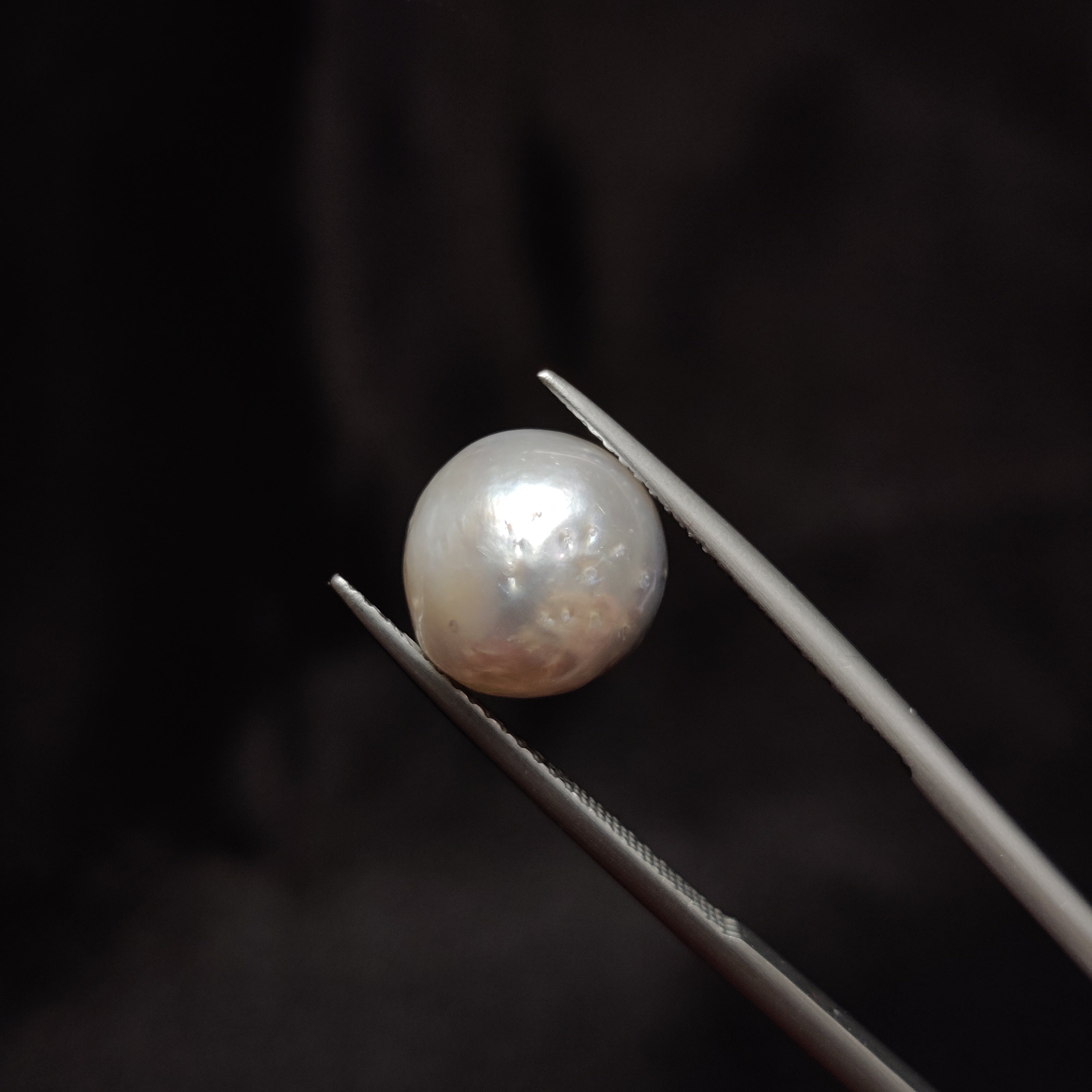 Pearl | Pearl 280 | 8.58 Carat
