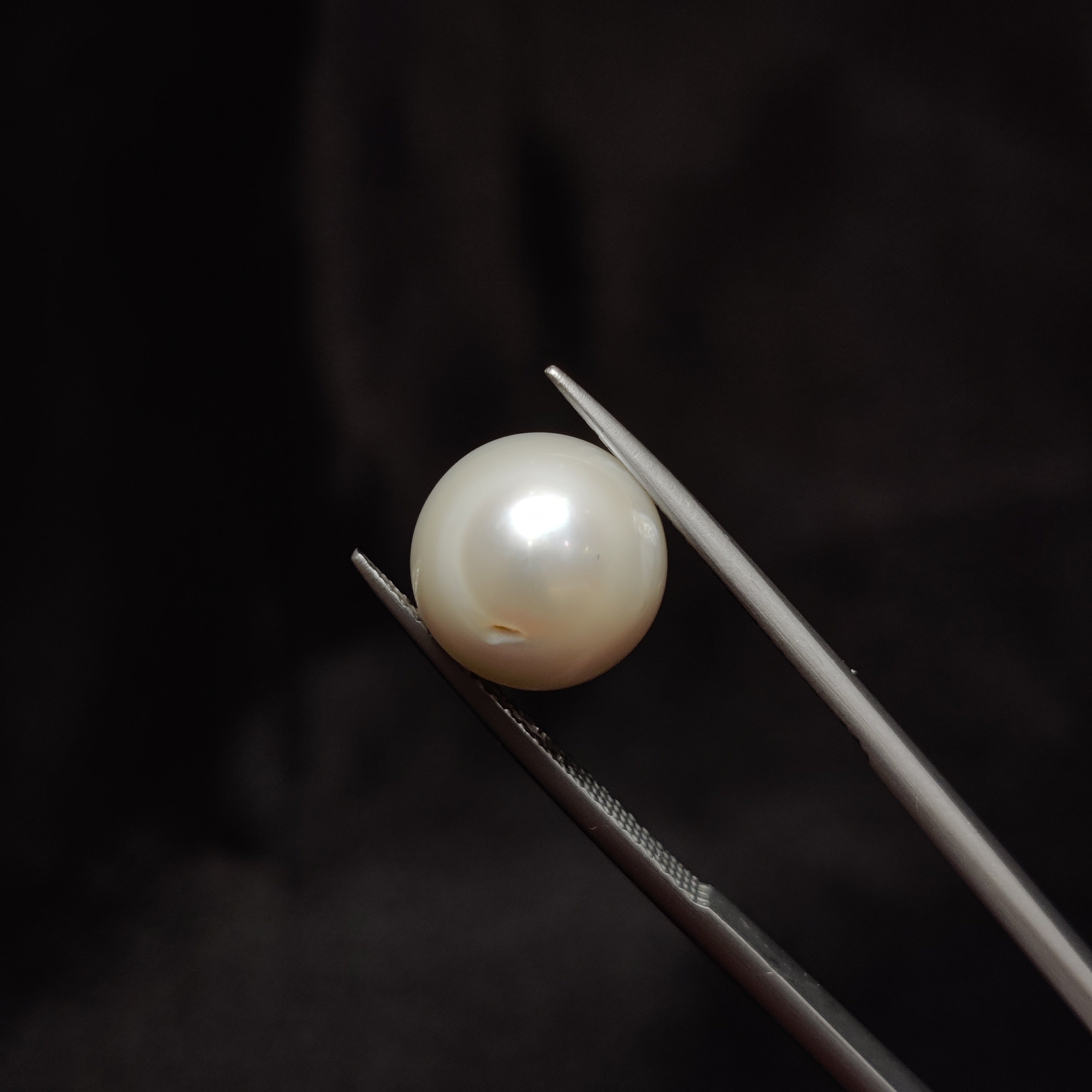 Pearl | Pearl 311 | 9.1 Carat