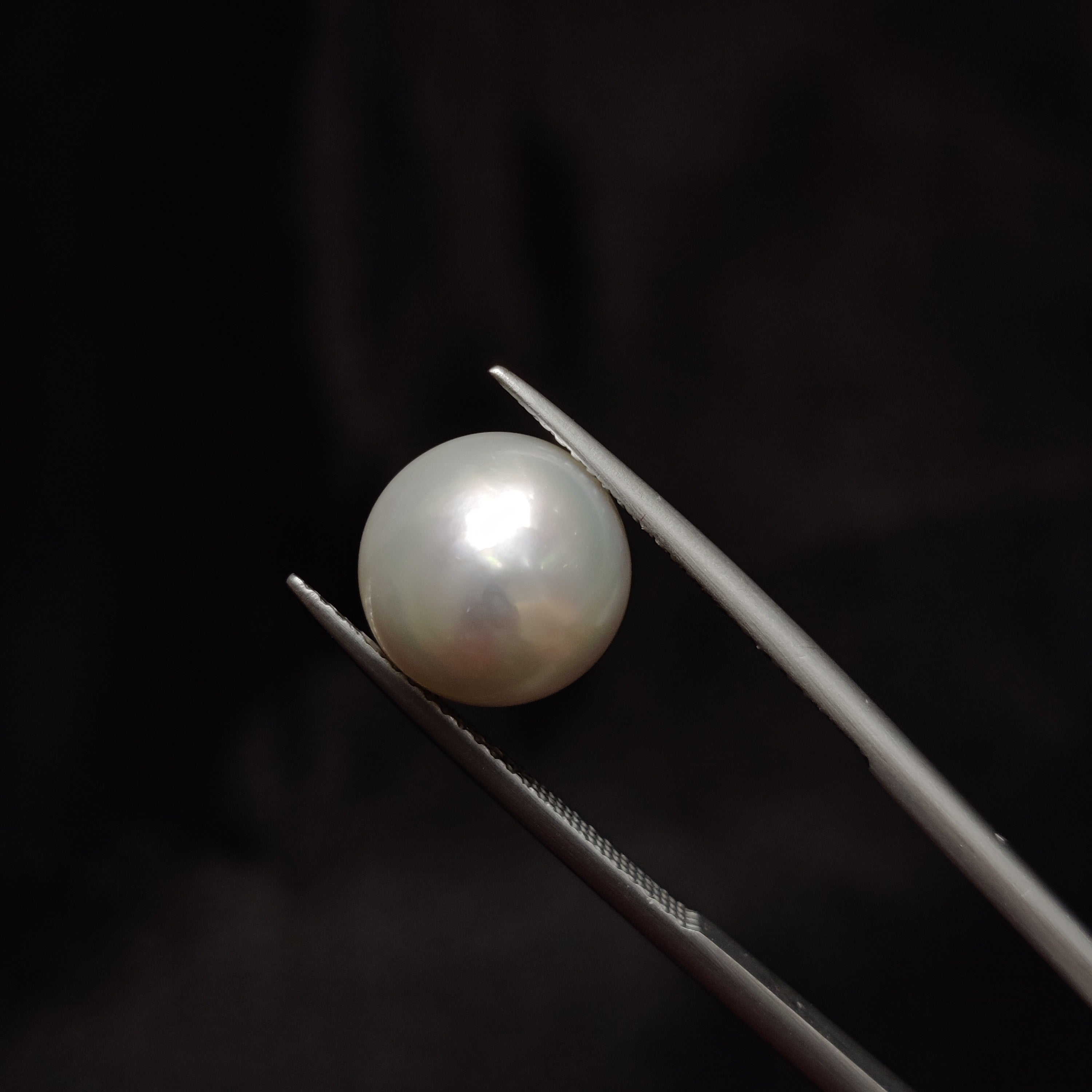 Pearl | Pearl 311 | 9.1 Carat