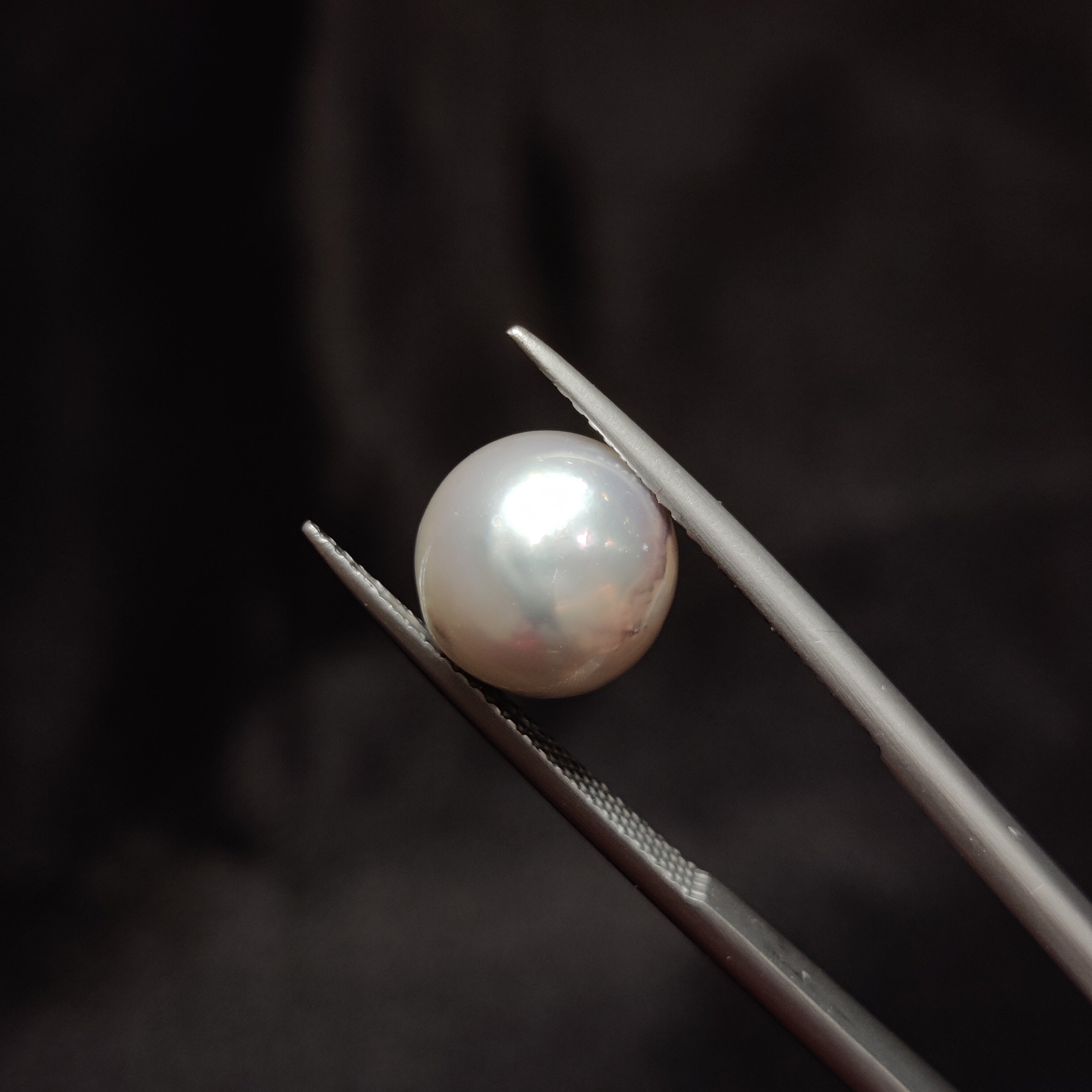Pearl | Pearl 322 | 7.9 Carat