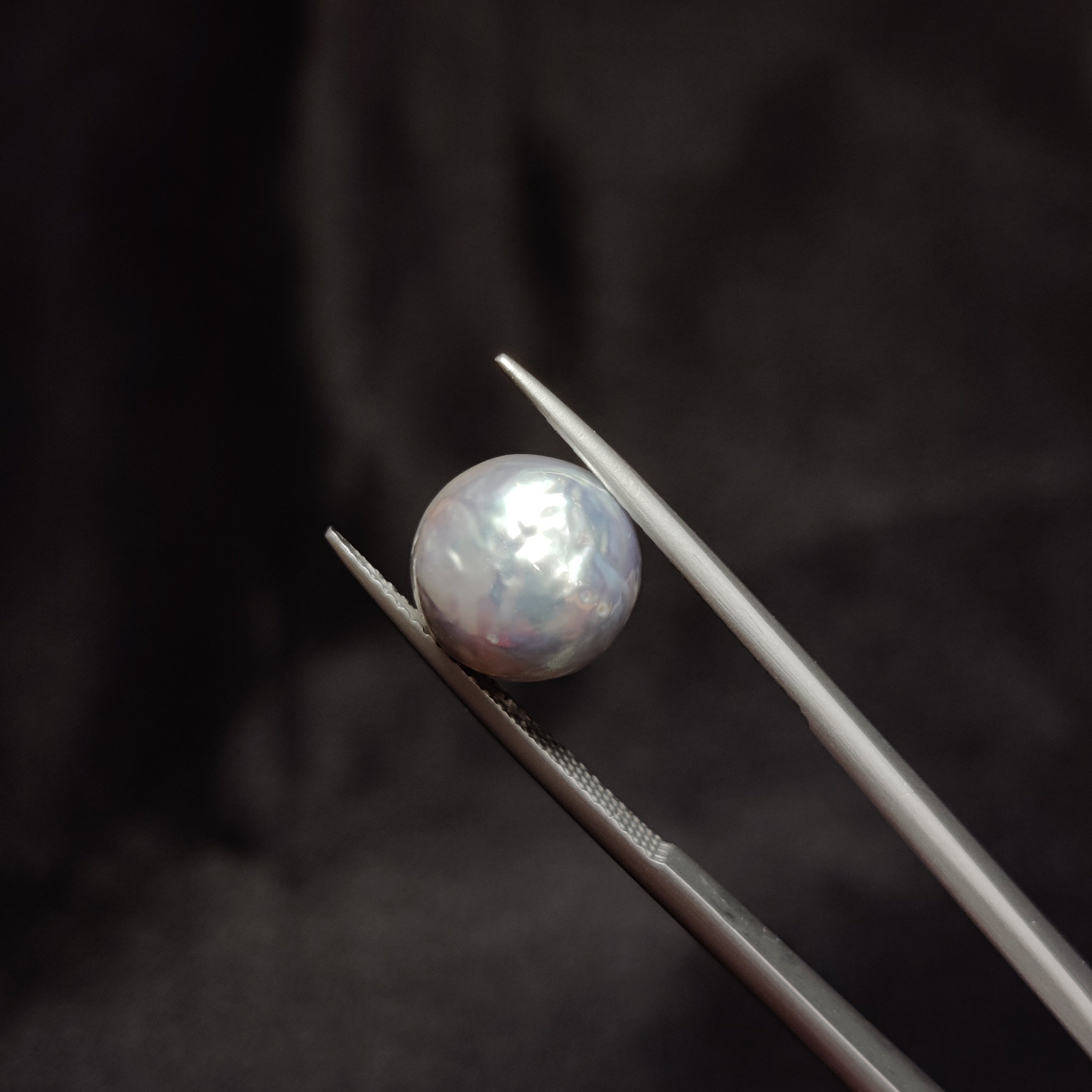 Pearl | Pearl 322 | 7.9 Carat