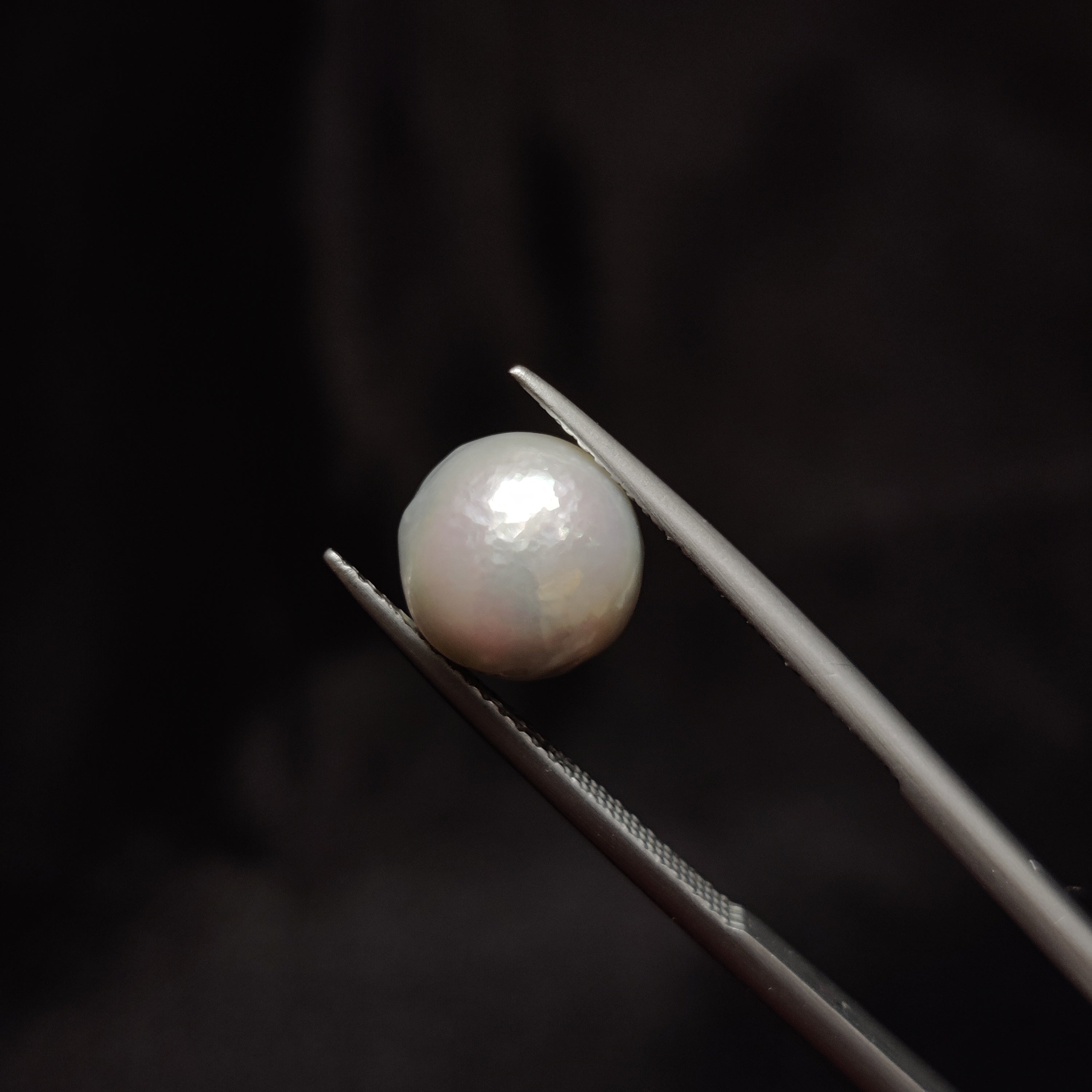 Pearl | Pearl 278 | 5.51 Carat