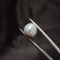 Pearl | Pearl 279 | 5.4 Carat