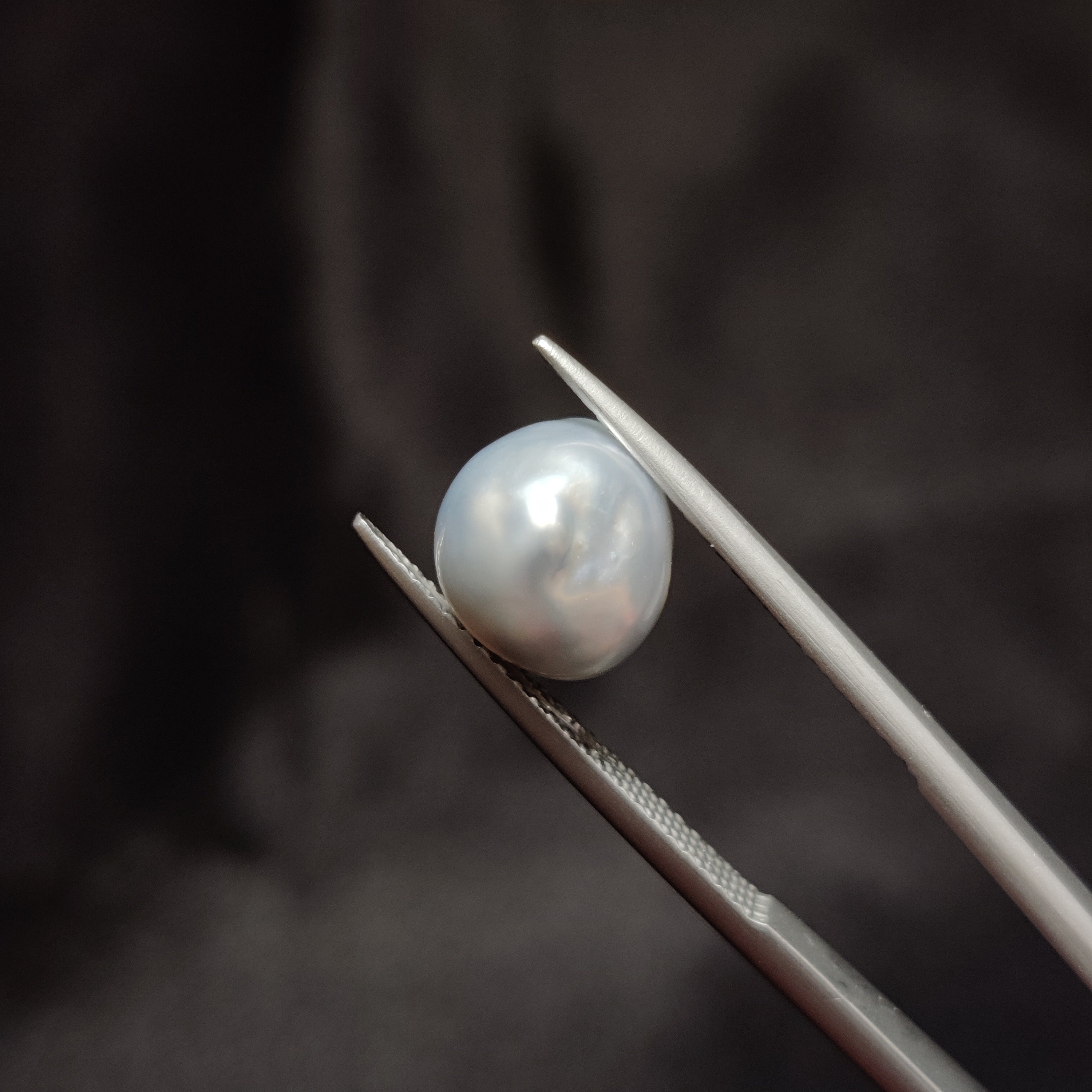 Pearl | Pearl 279 | 5.4 Carat