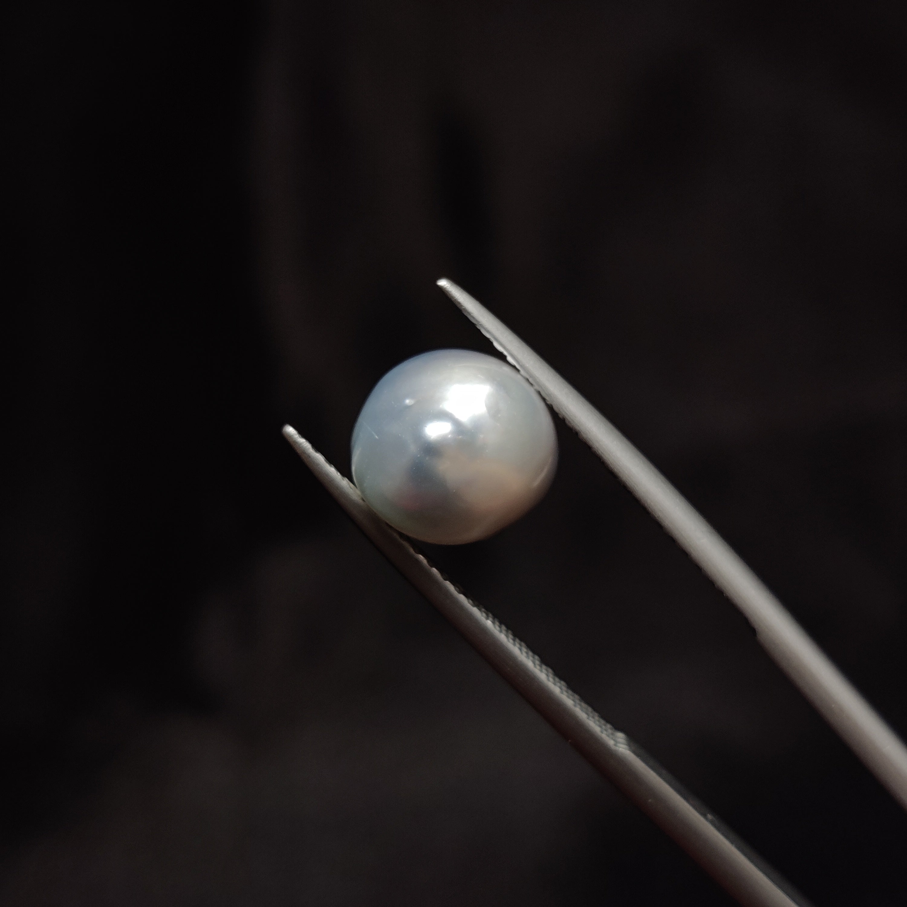 Pearl | Pearl 279 | 5.4 Carat