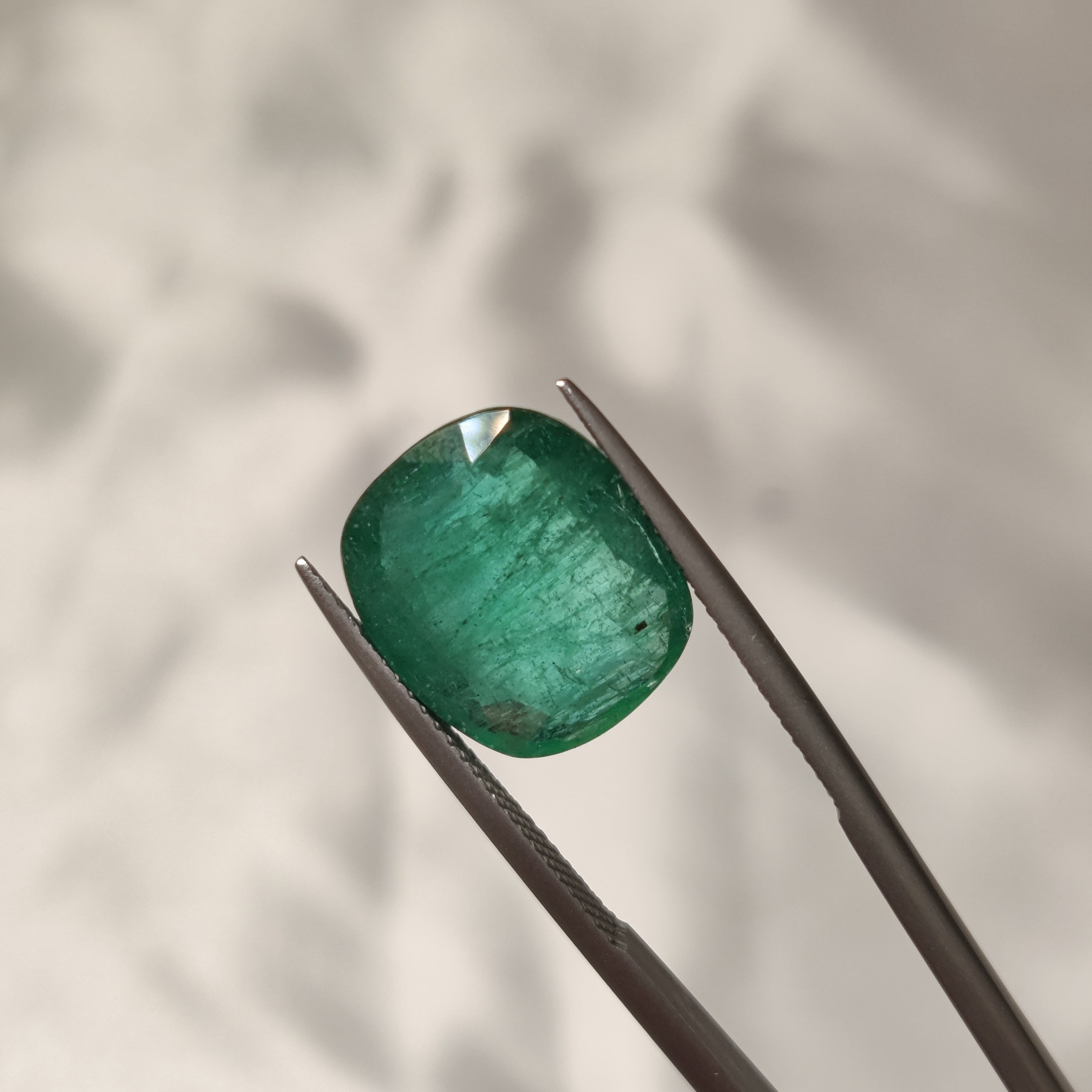 Emerald | EM 455 | 7.96 Carat