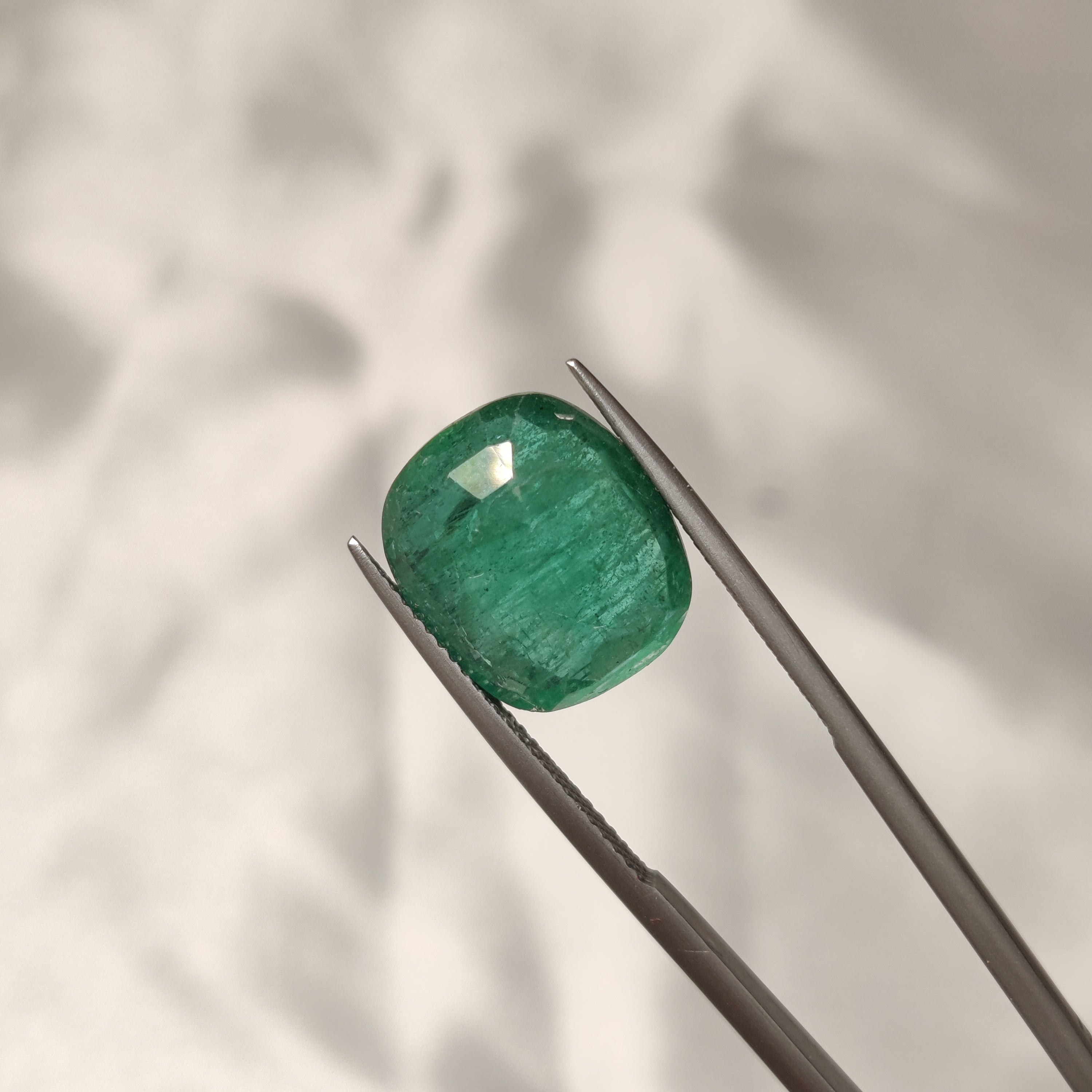 Emerald | EM 455 | 7.96 Carat