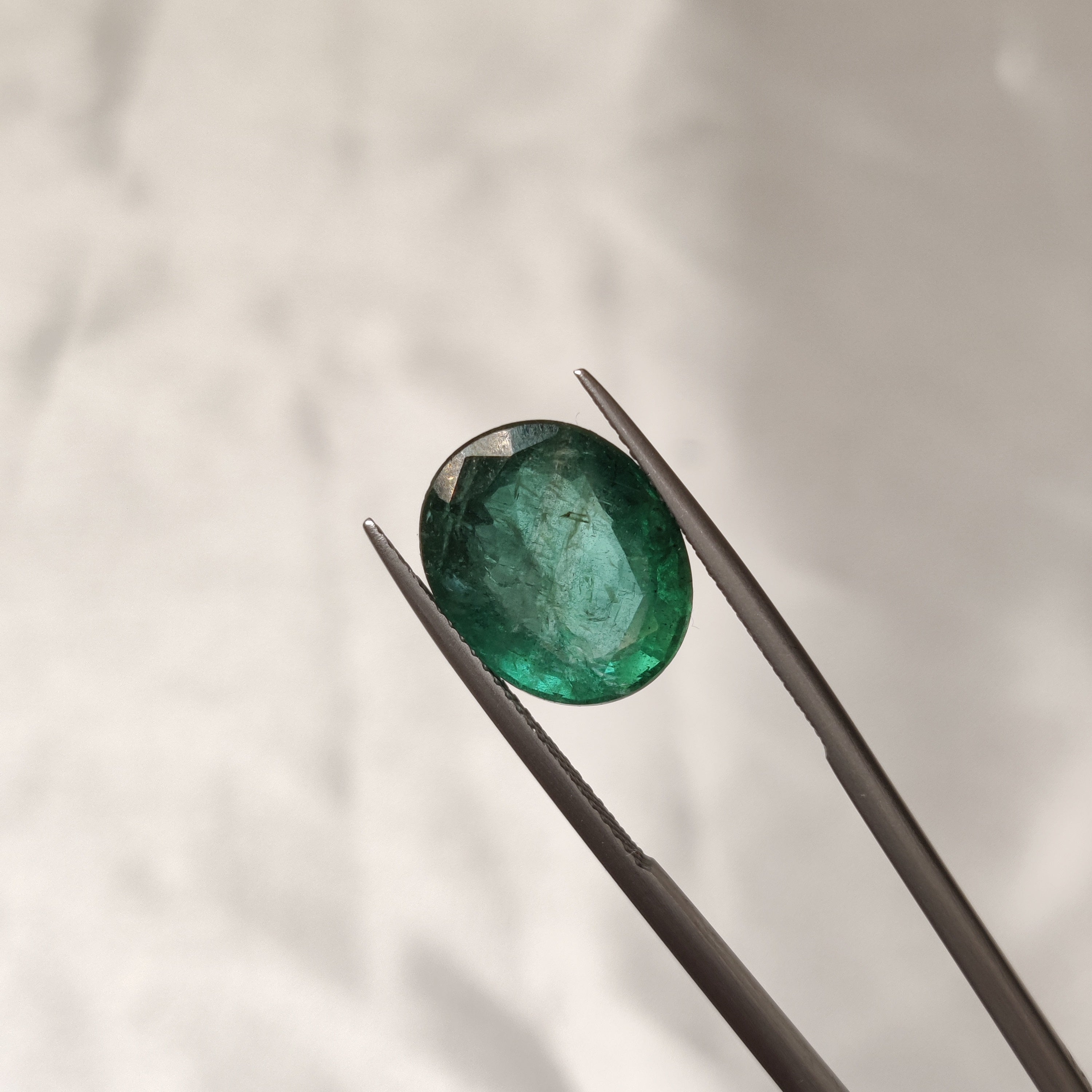 Emerald | EM 454 | 7.7 Carat