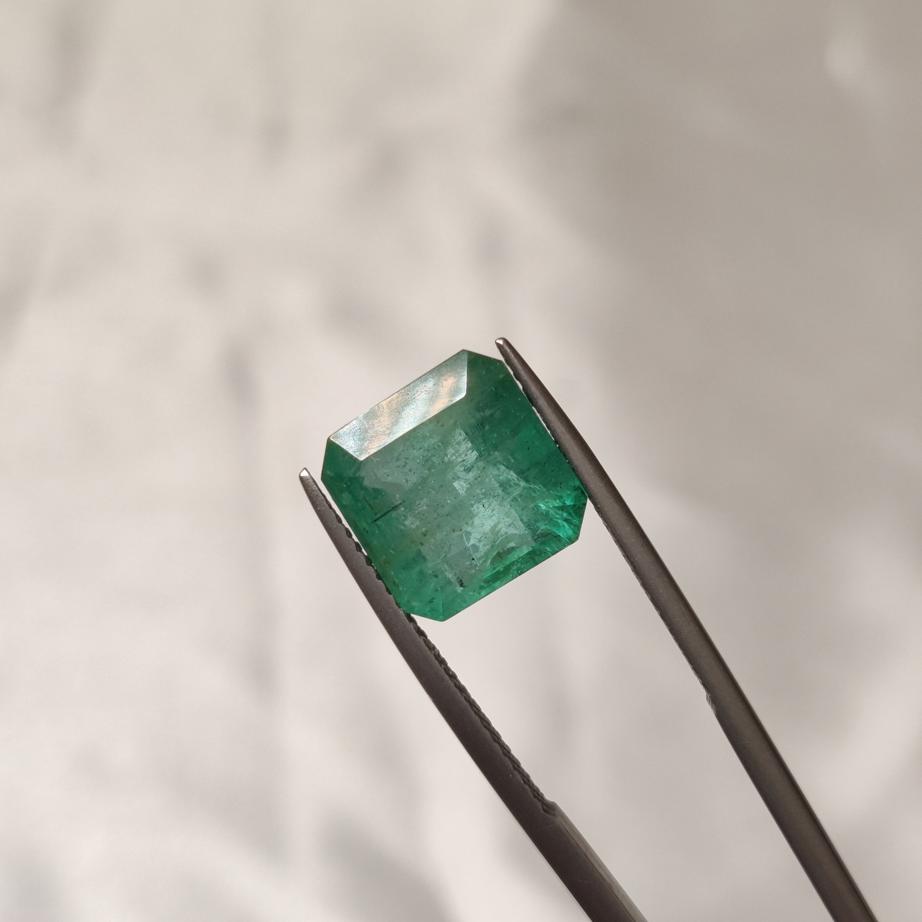 Emerald | EM 453 | 7.26 Carat