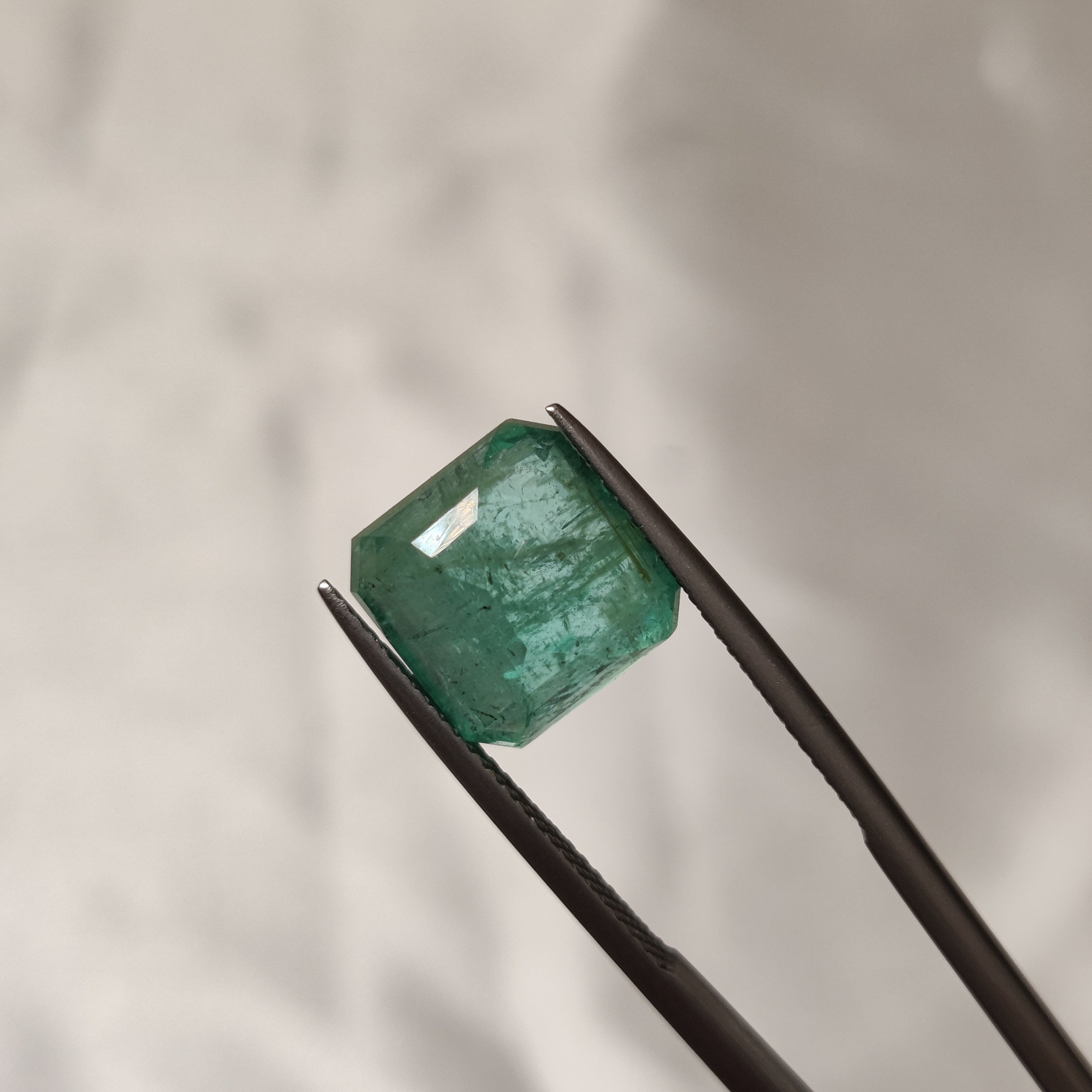 Emerald | EM 453 | 7.26 Carat