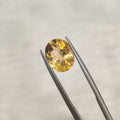Citrine  | Citrine 107 | 2.66 Carat