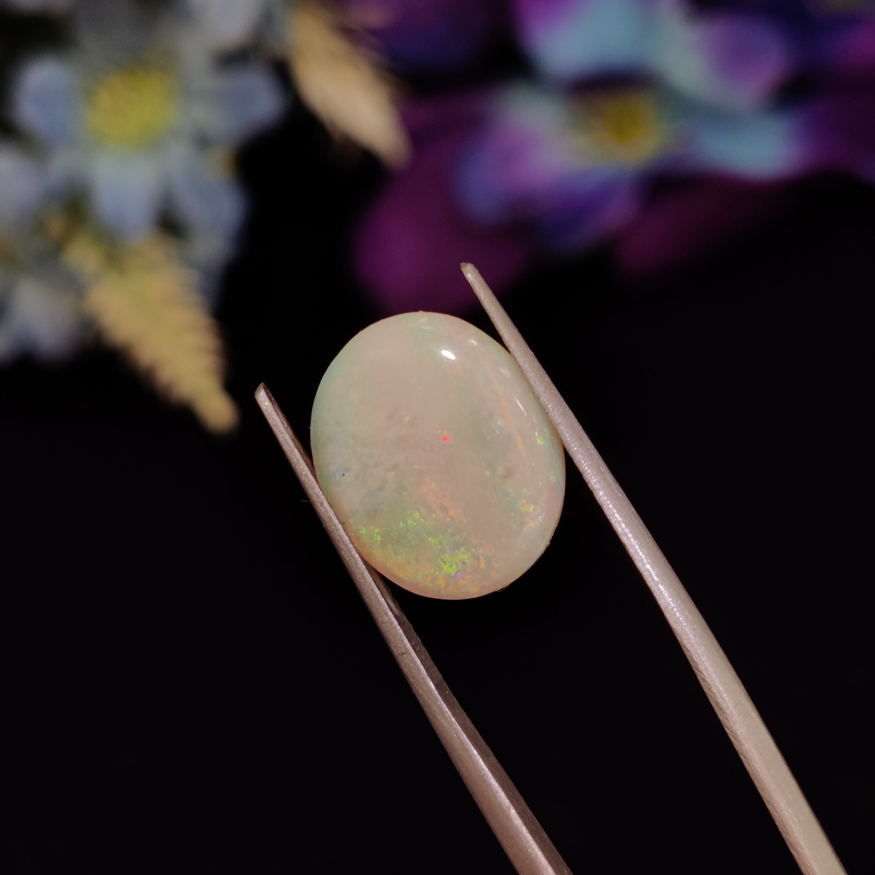 Opal | Opal 154 | 3.87 Carat