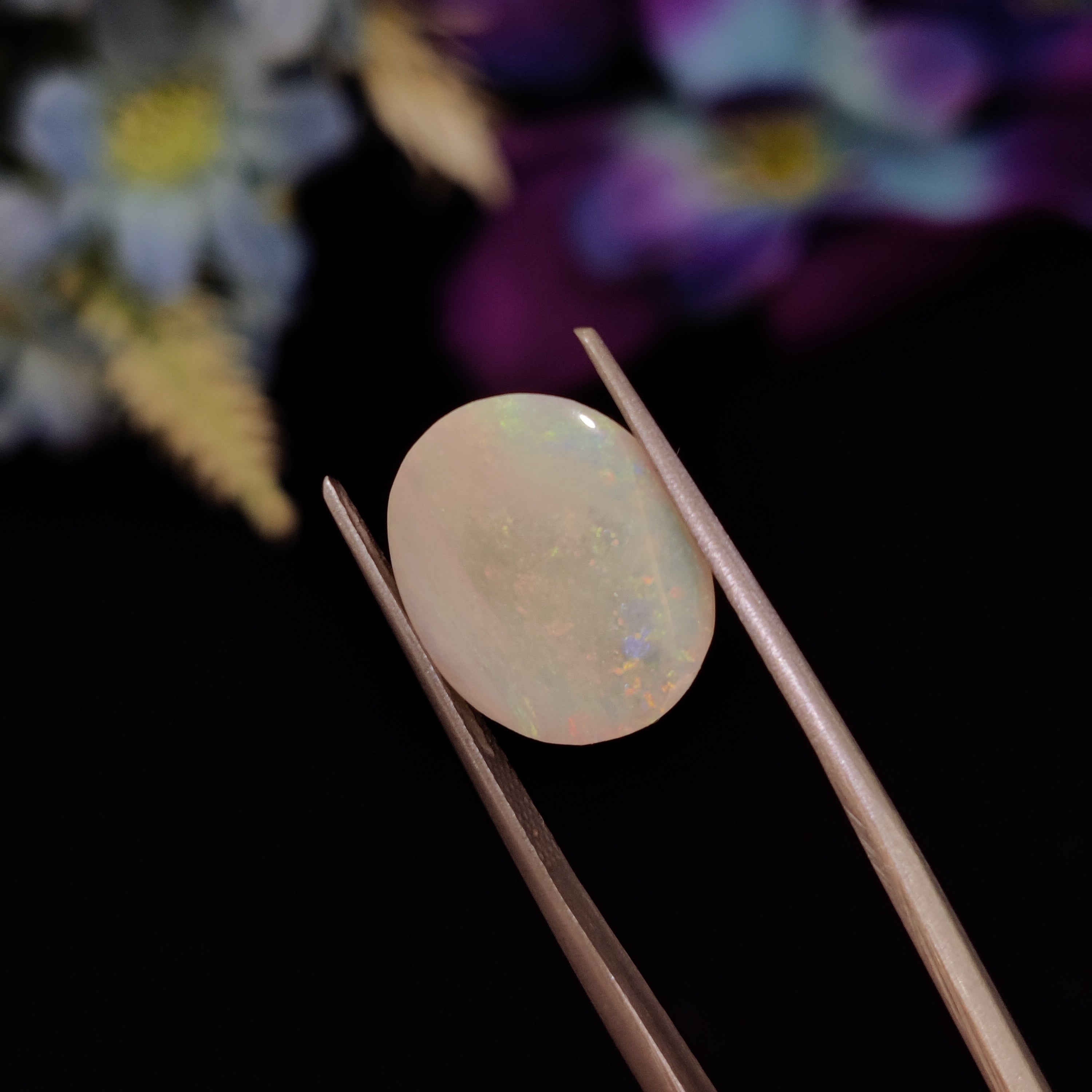 Opal | Opal 154 | 3.87 Carat