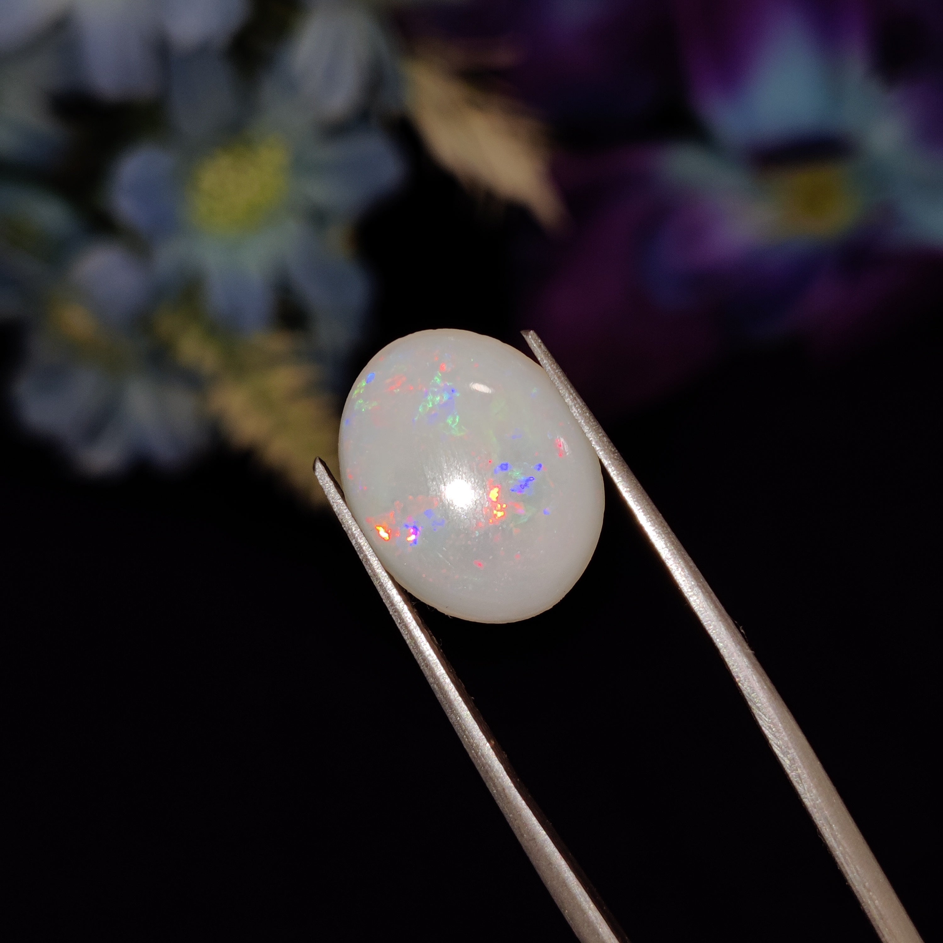 Opal | Opal 155 | 3.65 Carat