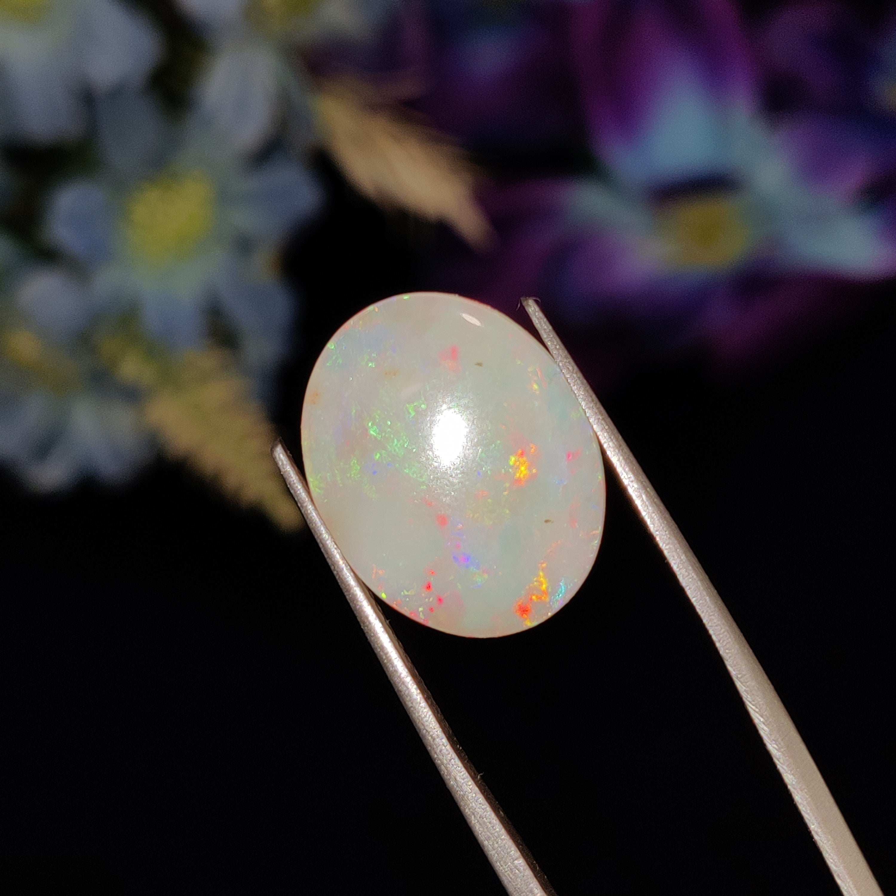 Opal | Opal 159 | 5.83 Carat