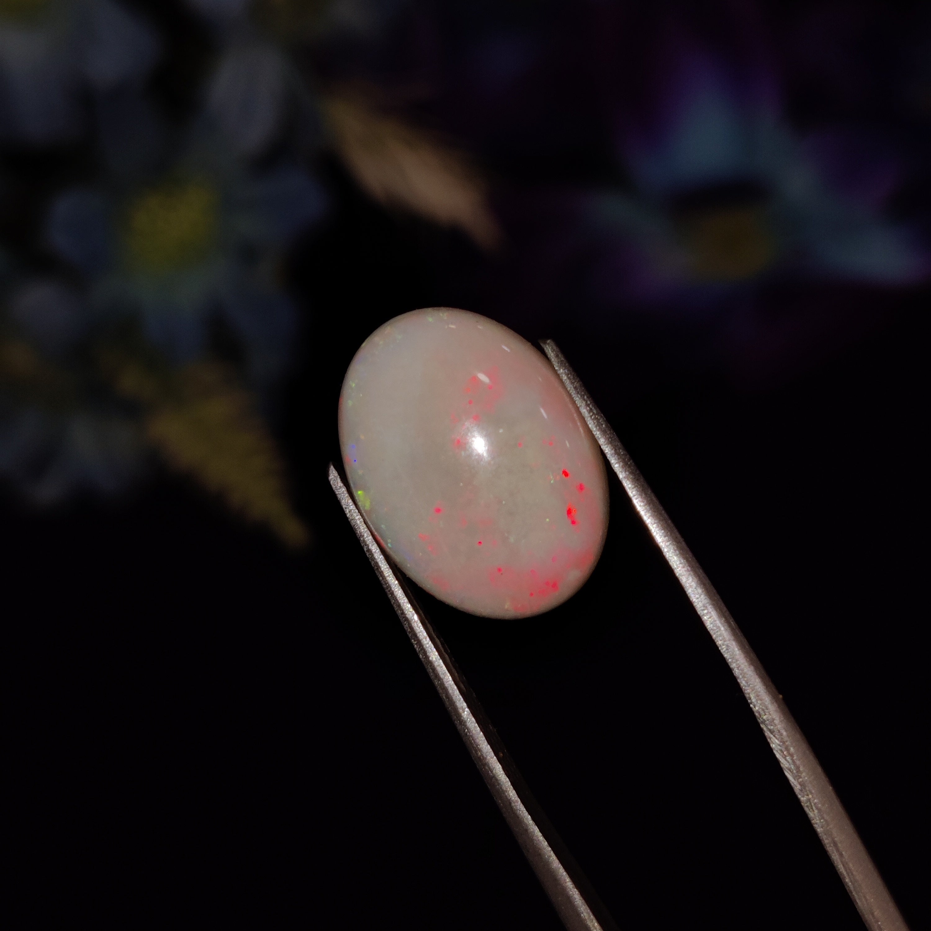 Opal | Opal 160 | 4.73 Carat
