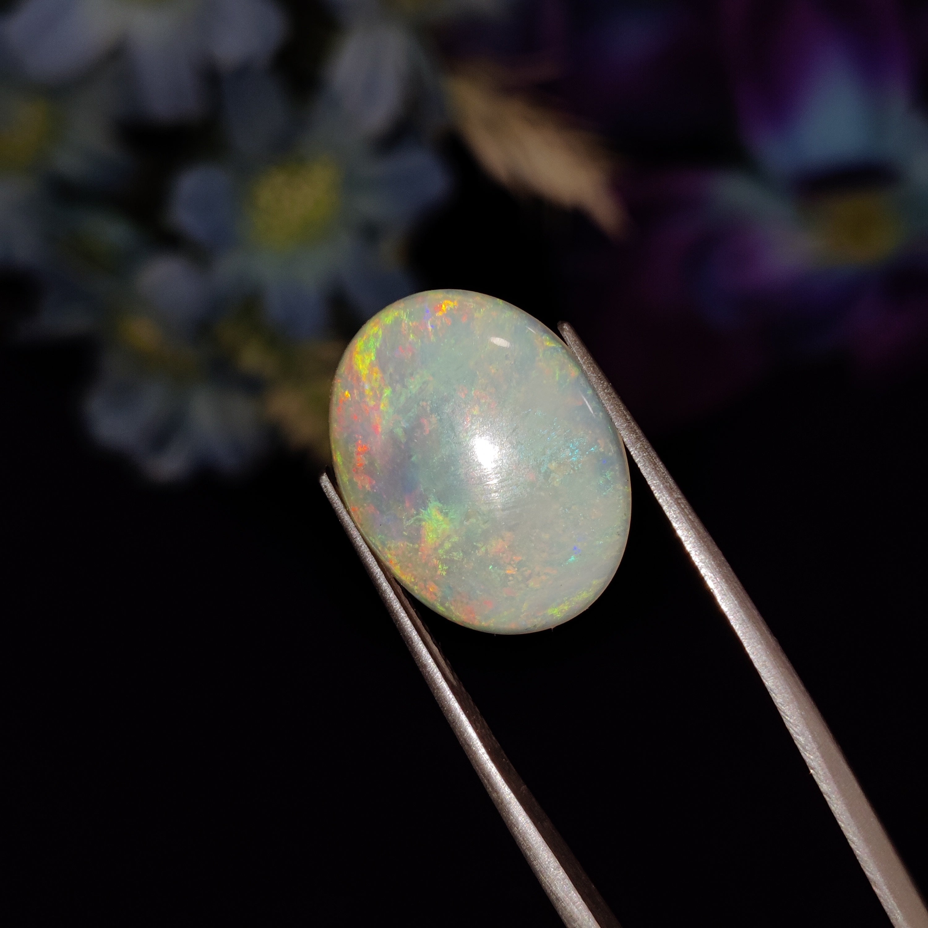 Opal | Opal 161 | 6.07 Carat