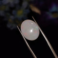 Opal | Opal 167 | 4.71 Carat