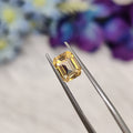 Imperial Topaz | IMT 16 | 1.6 Carat