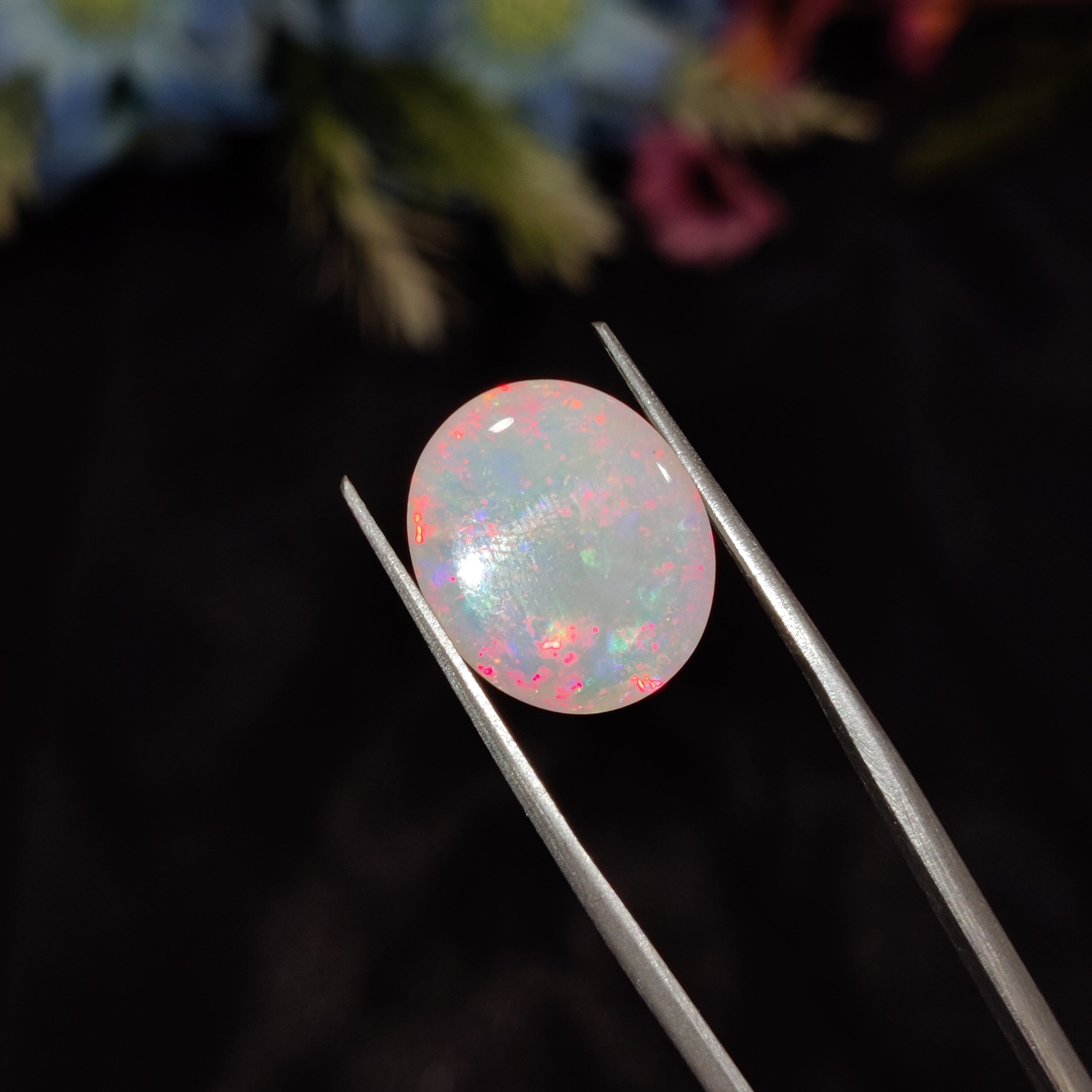 Opal | Opal 175 | 5.4 Carat