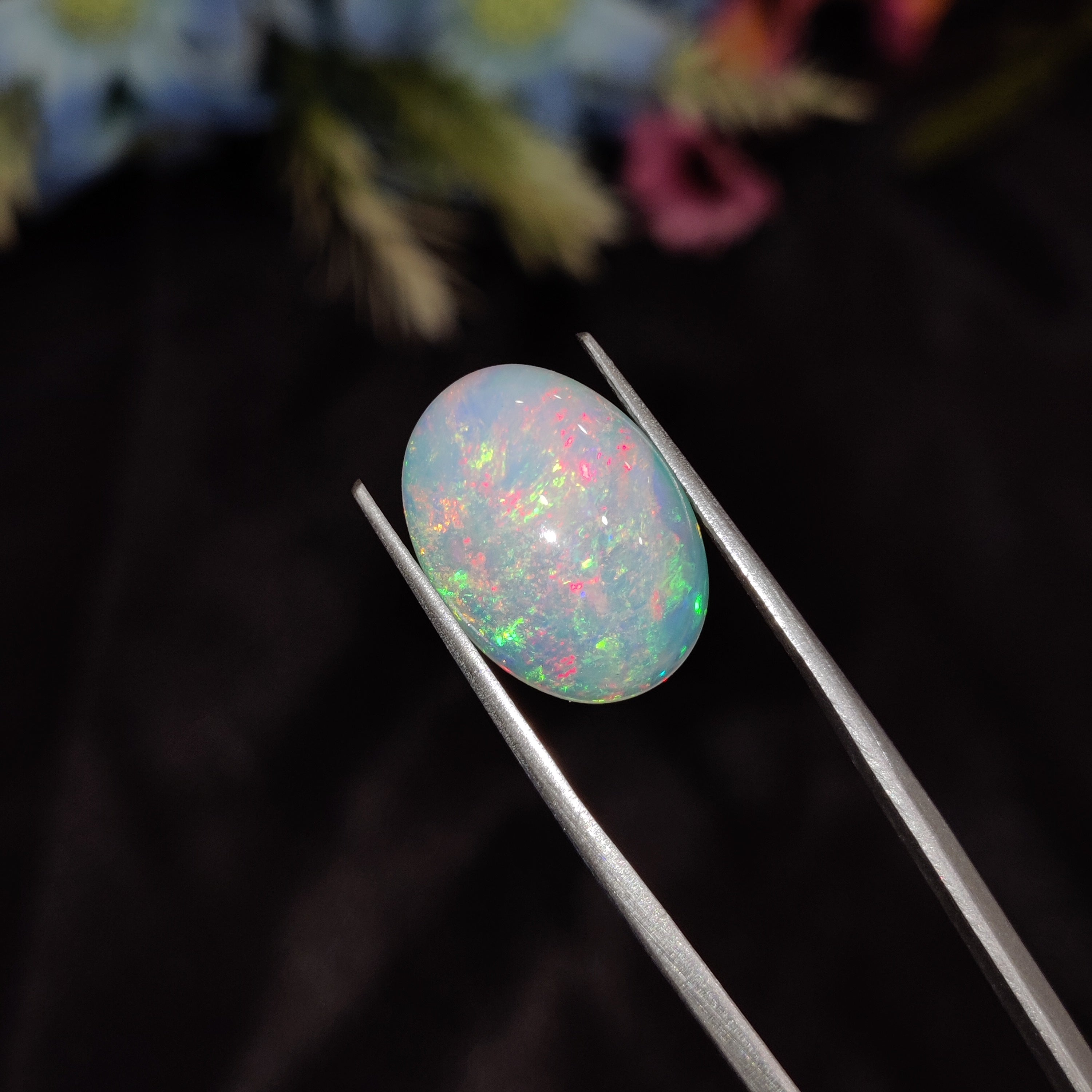 Opal | Opal 177 | 5.63 Carat