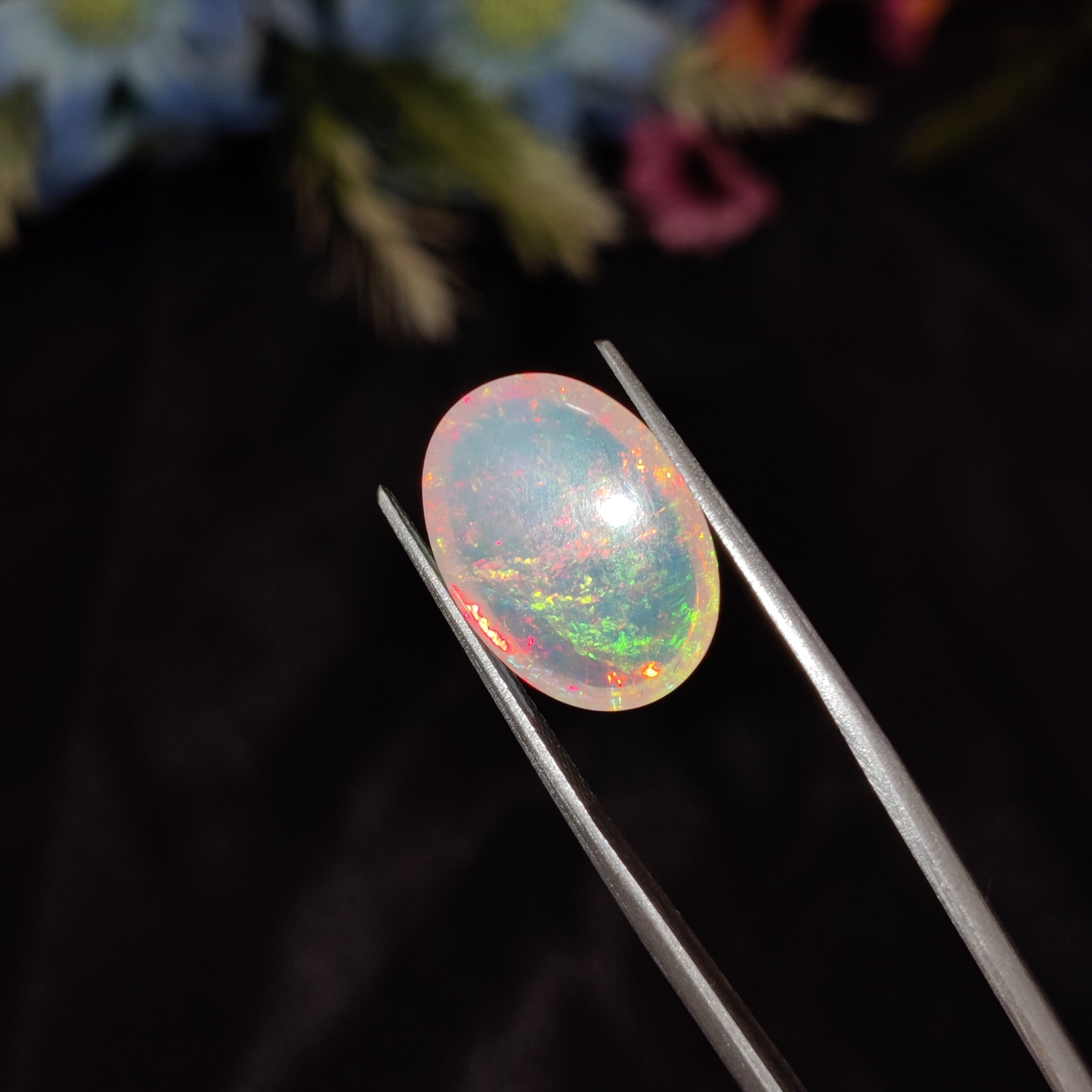Opal | Opal 177 | 5.63 Carat