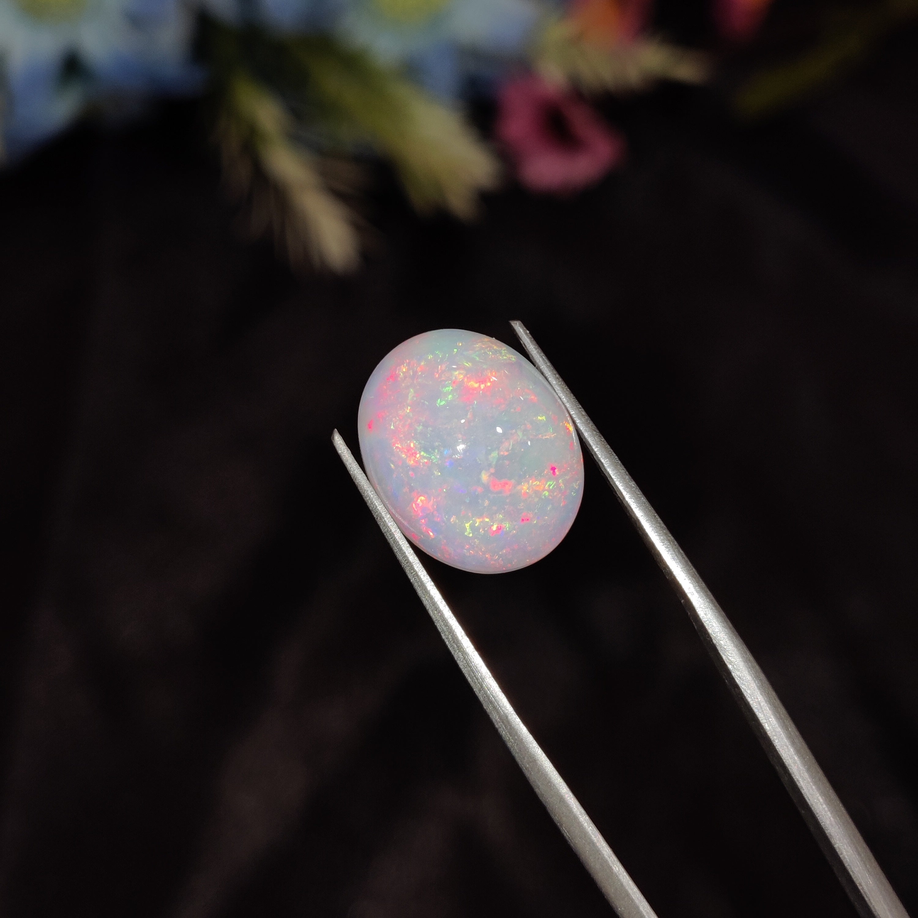 Opal | Opal 178 | 4.98 Carat